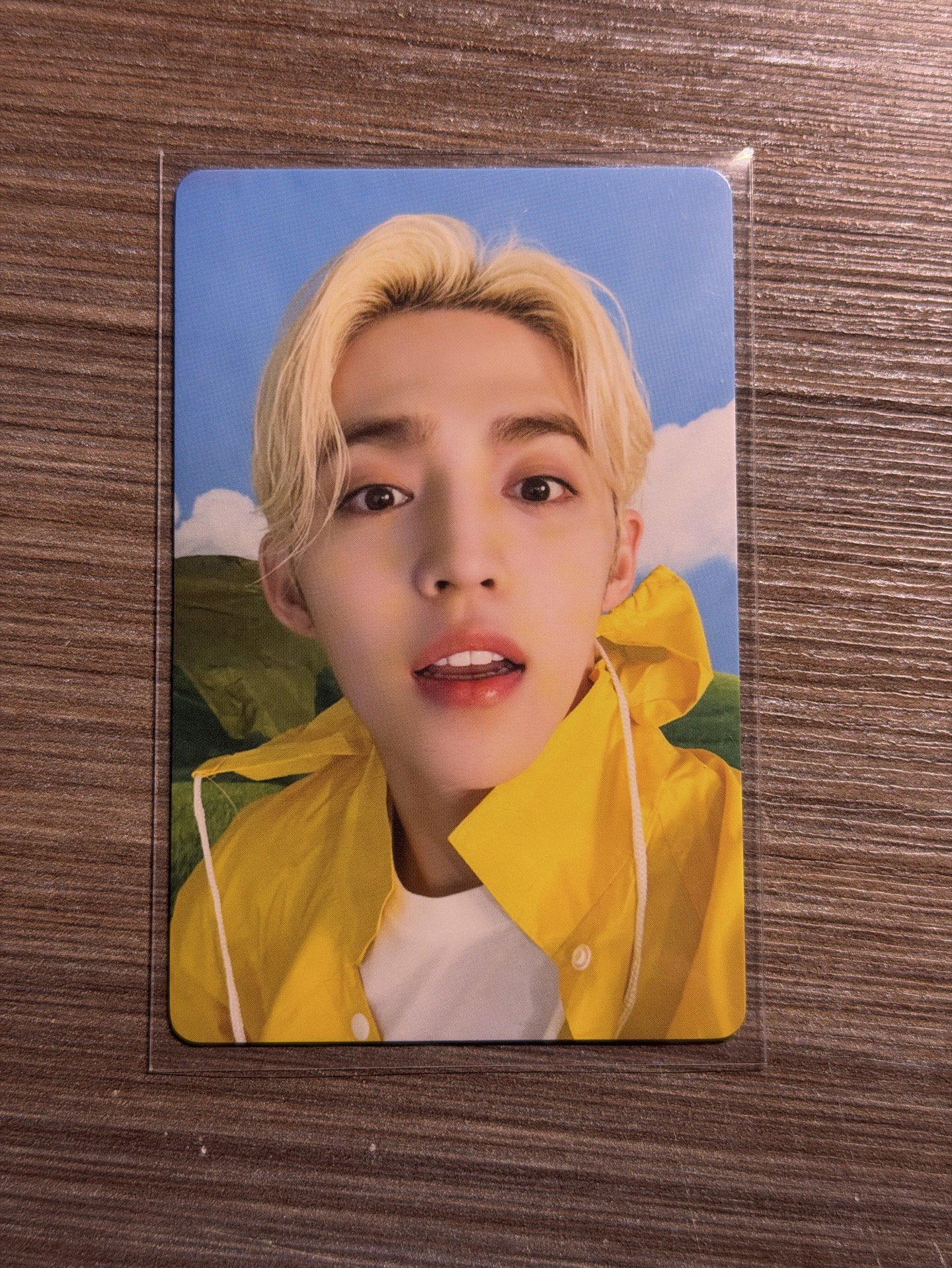 MINI11 專輯卡 CARAT ver.