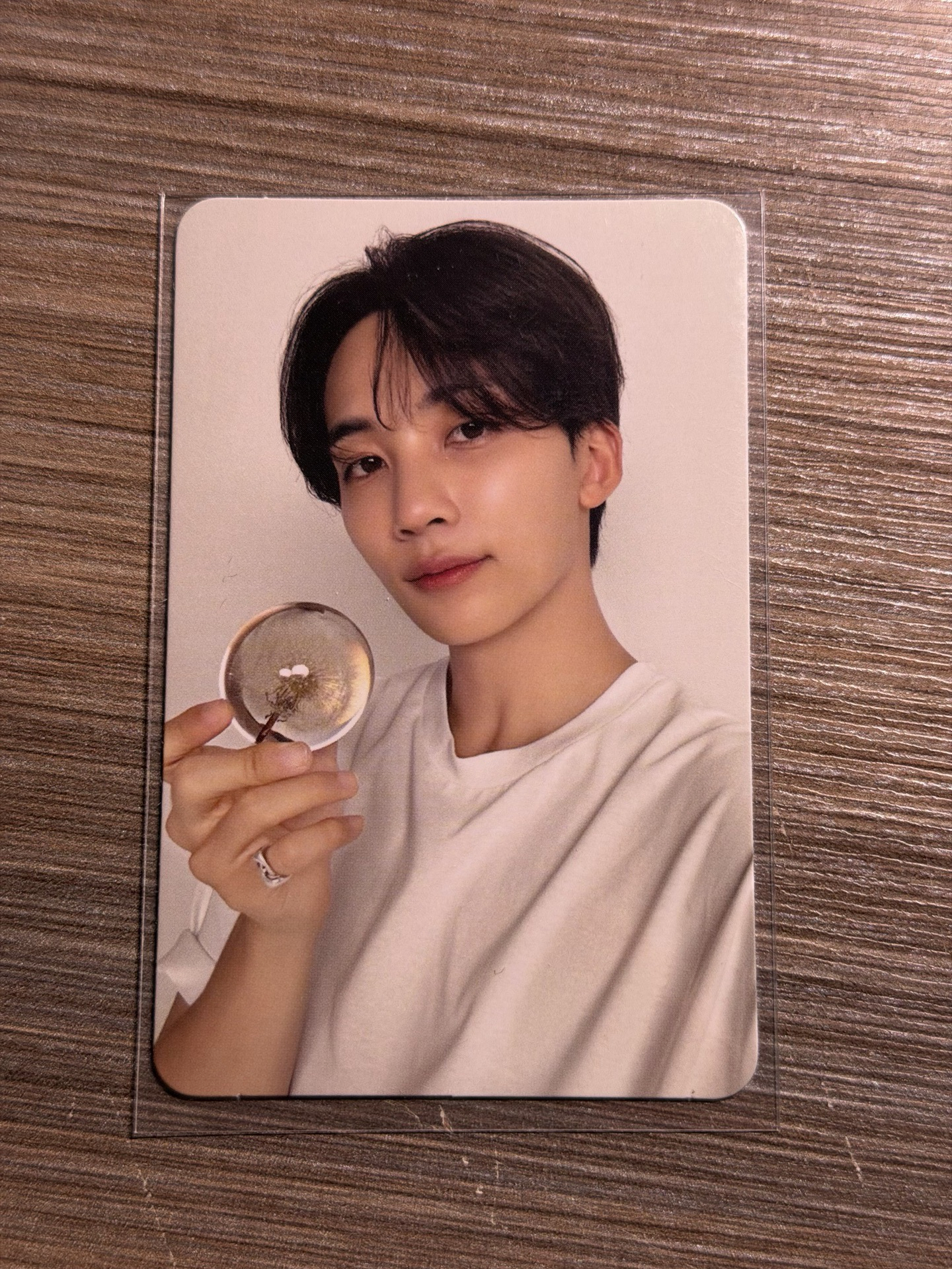 精選專 專輯卡 CARAT ver.