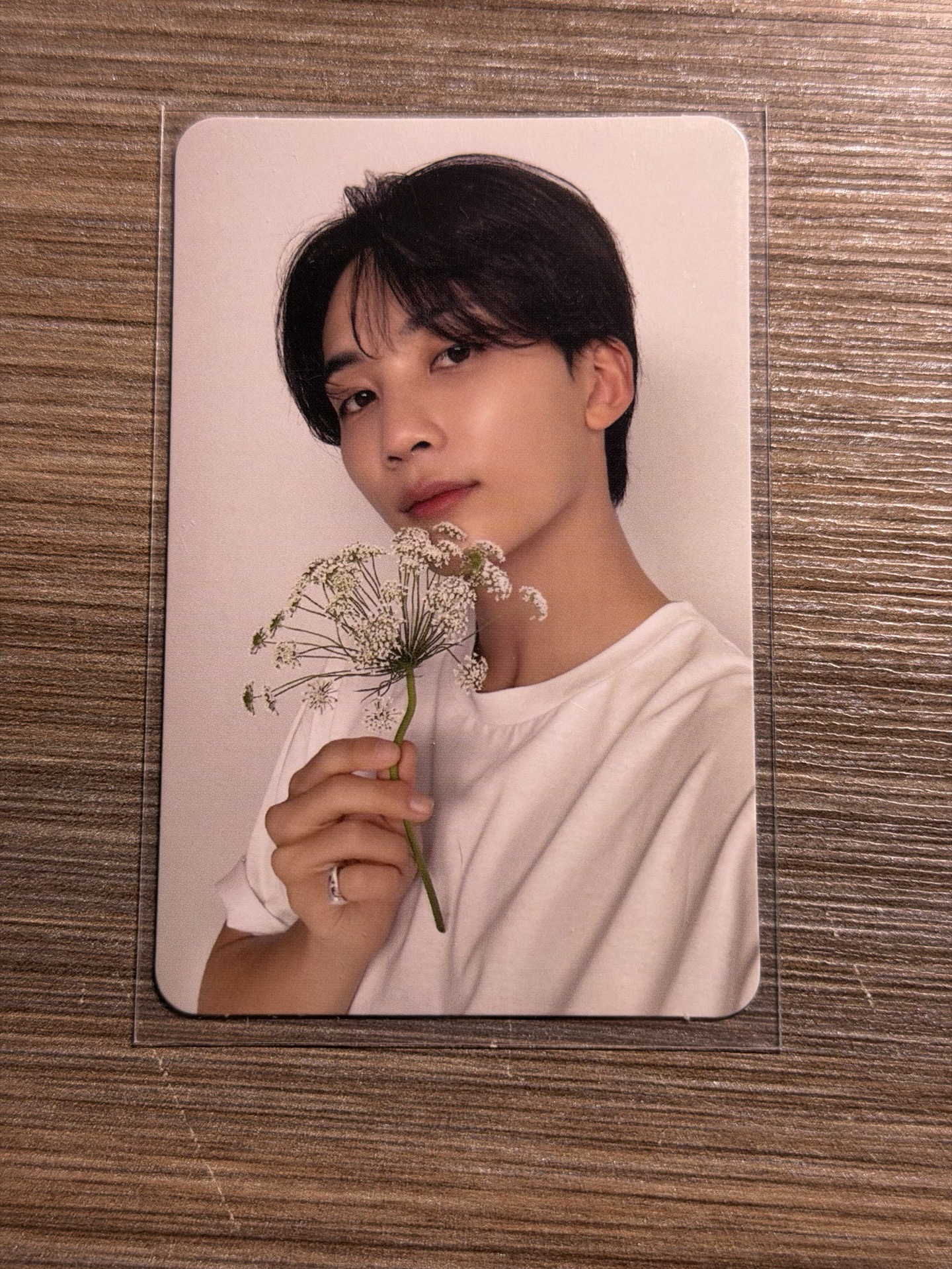 精選專 專輯卡 CARAT ver.