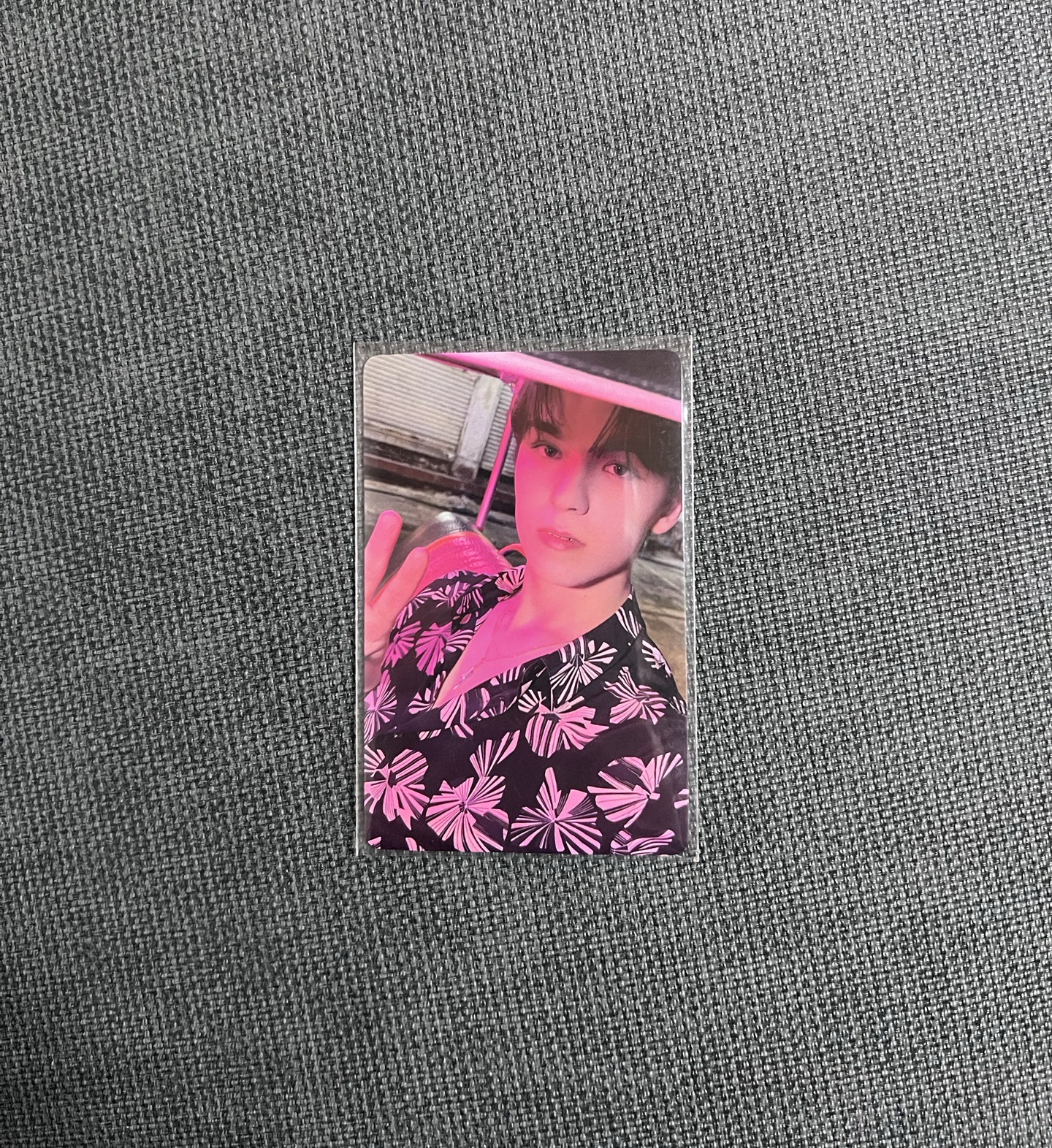 mini12 一直娛簽售卡 率