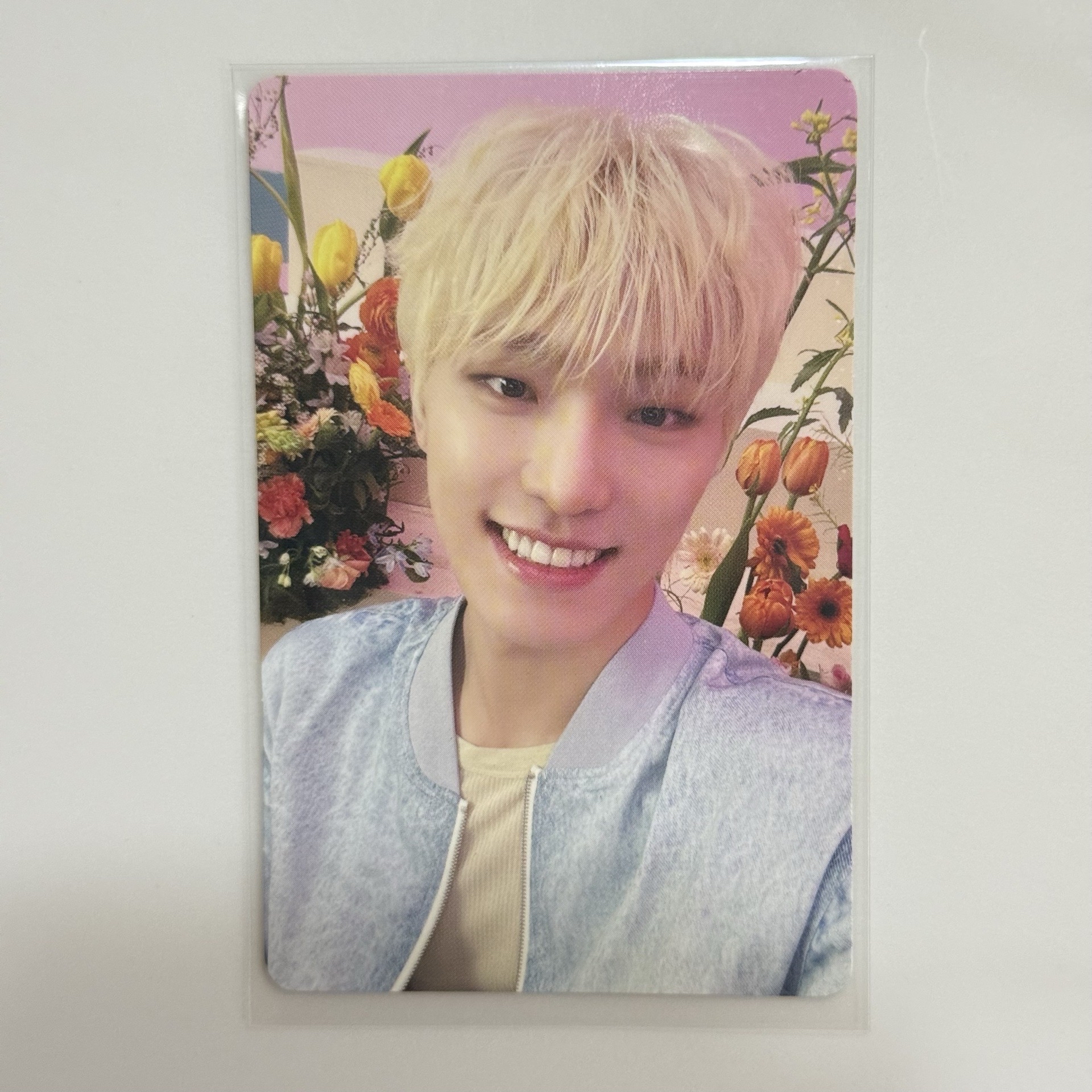 李燦 精選專 專卡