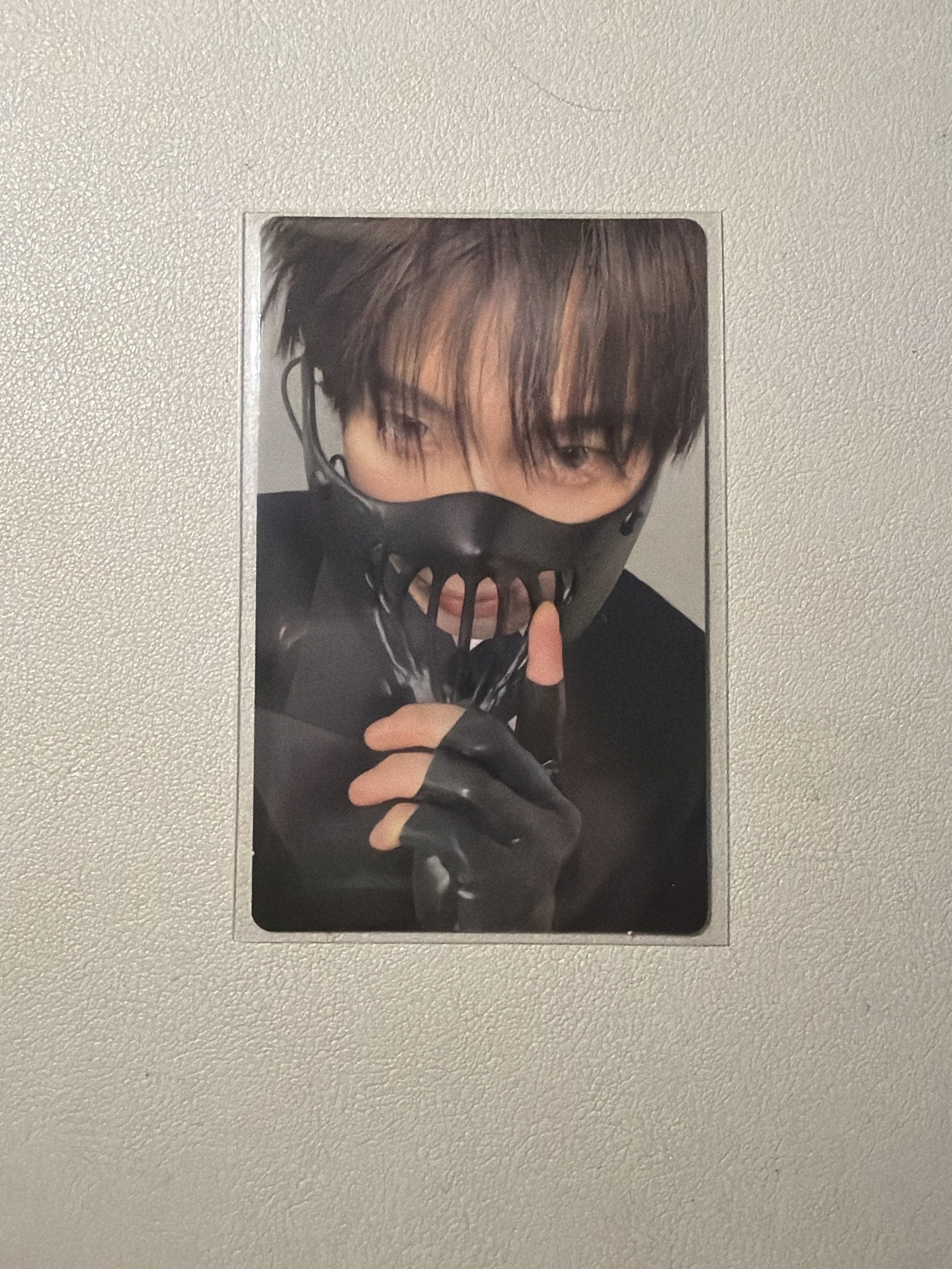 迷六 wvs pb特典 金善禹