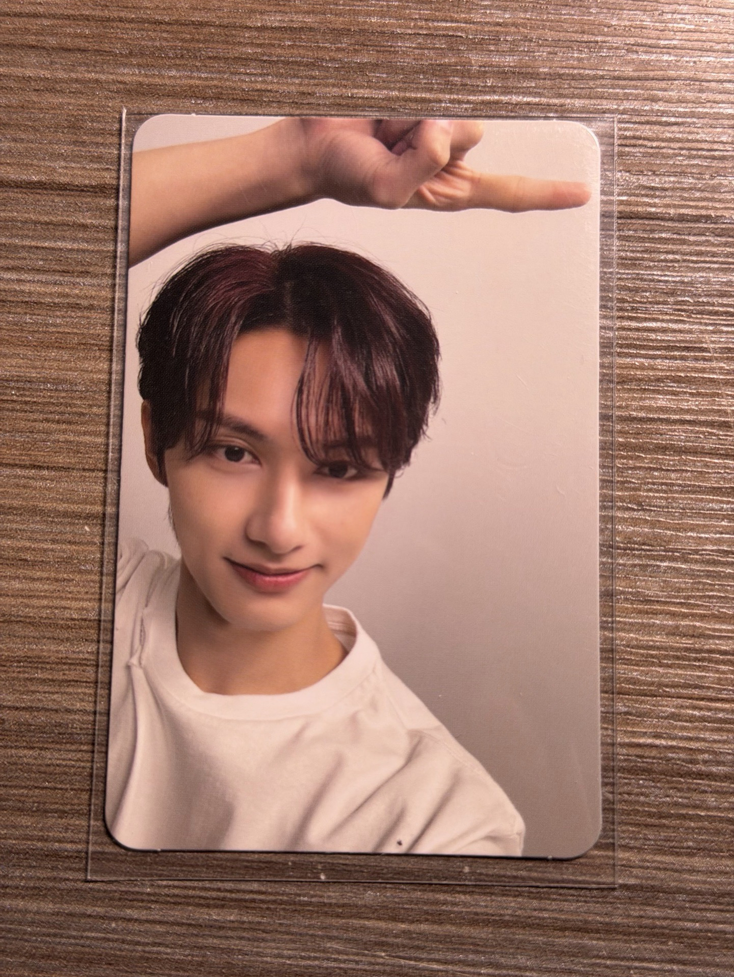 精選專 專輯卡 CARAT ver.