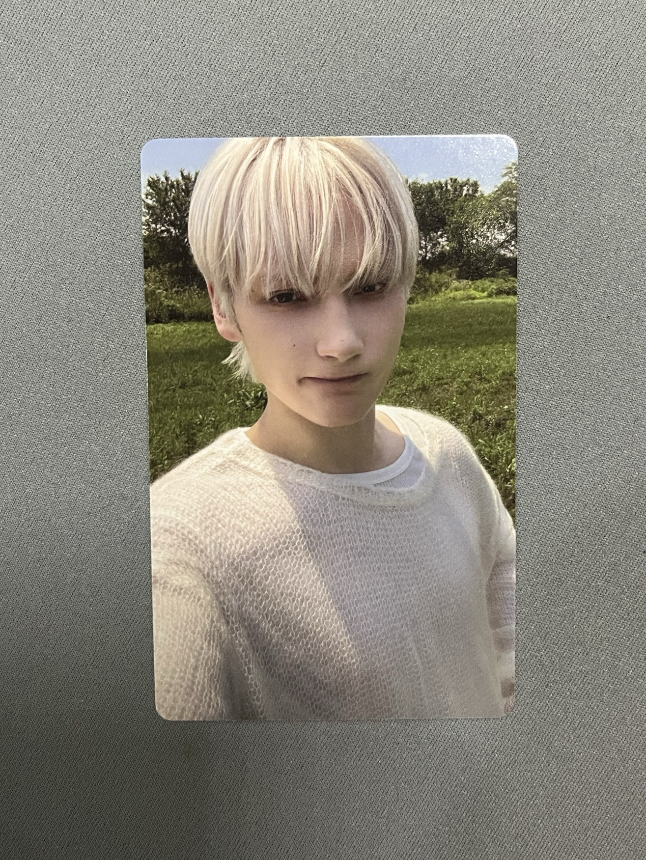 正四 WVS SC PB特典寧