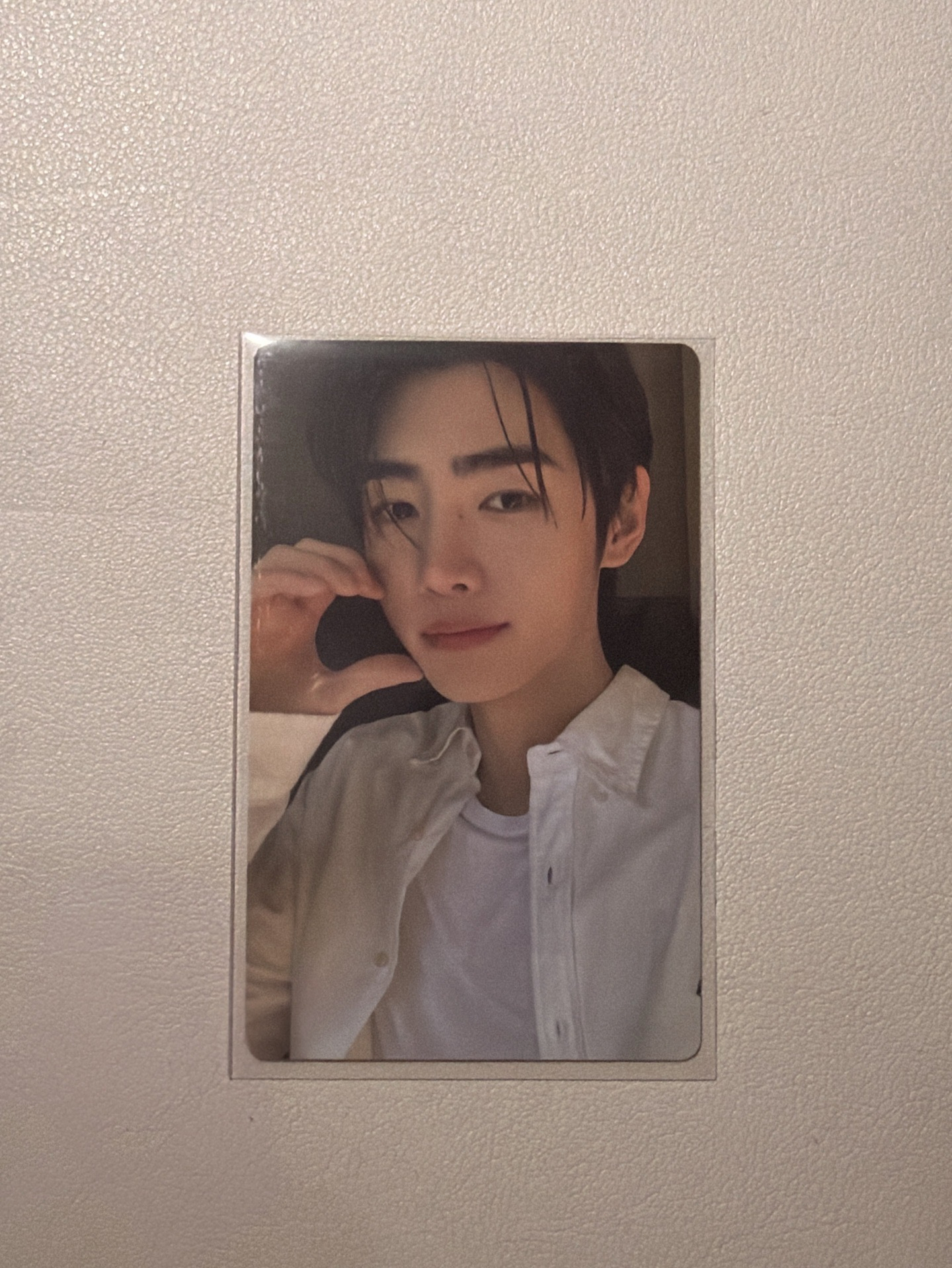 正二 wvs直播卡 朴成訓