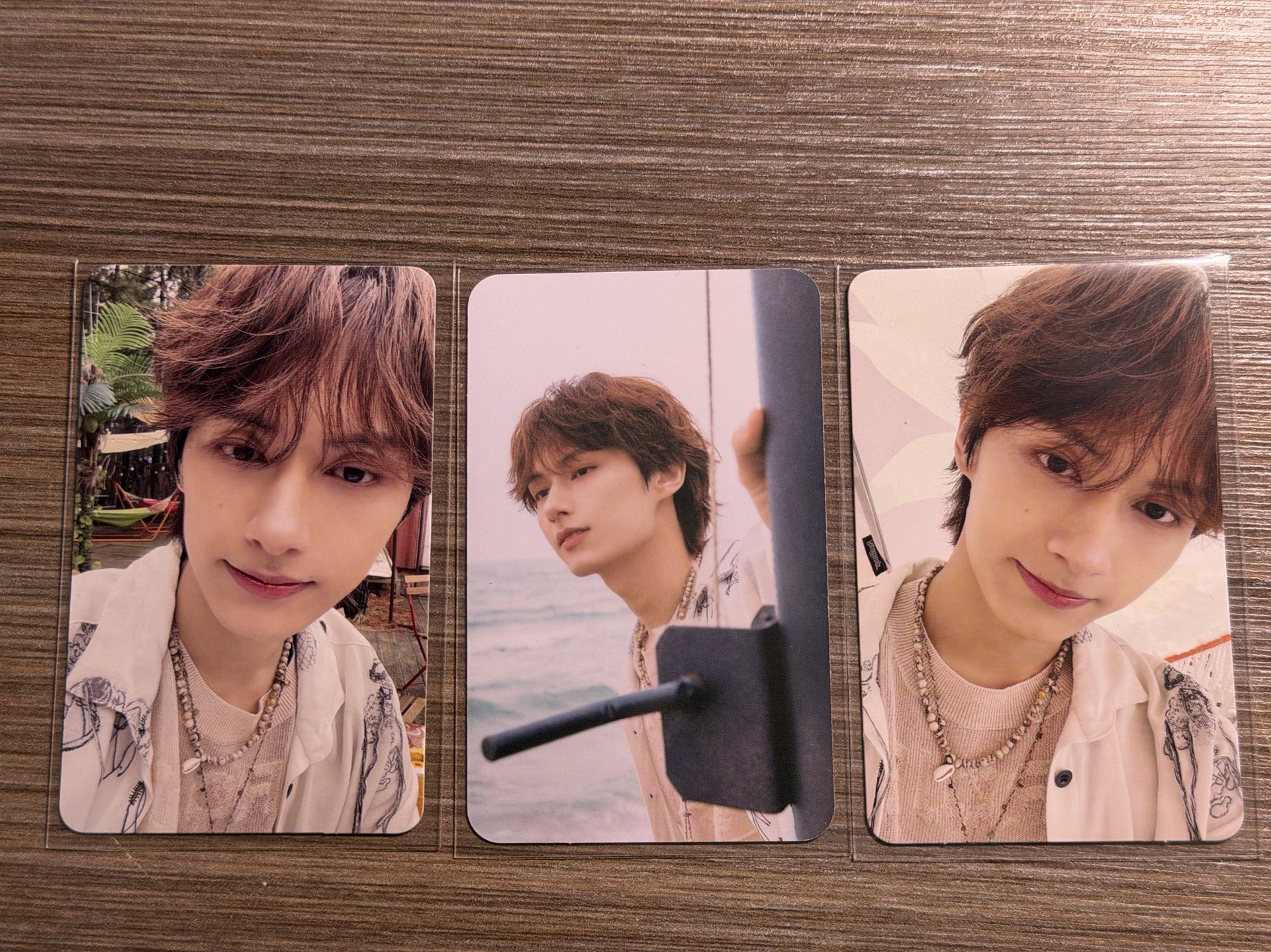 MINI12 專輯卡 wvs電子專