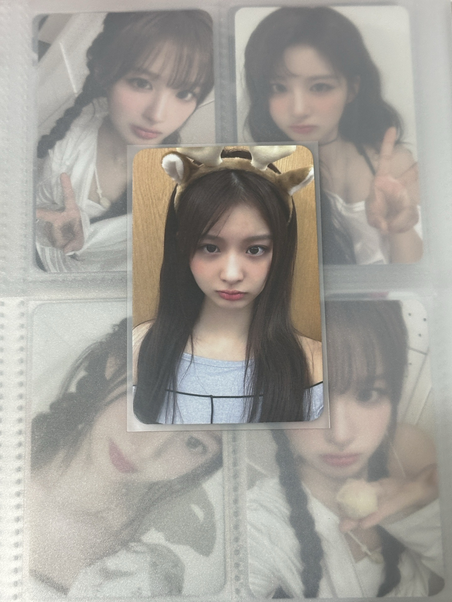 星河薛 中文卡背✅