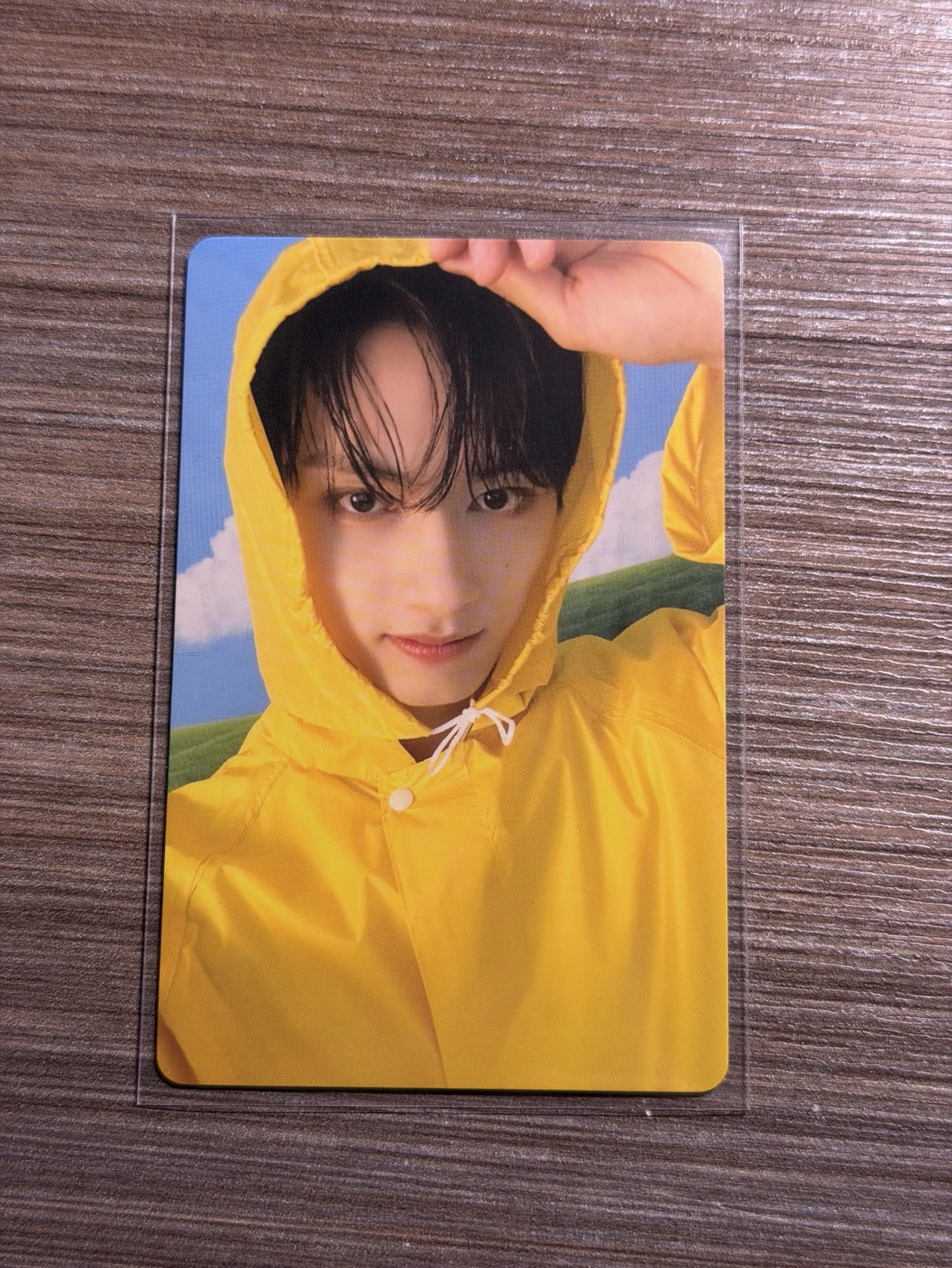 MINI11 專輯卡 CARAT ver.