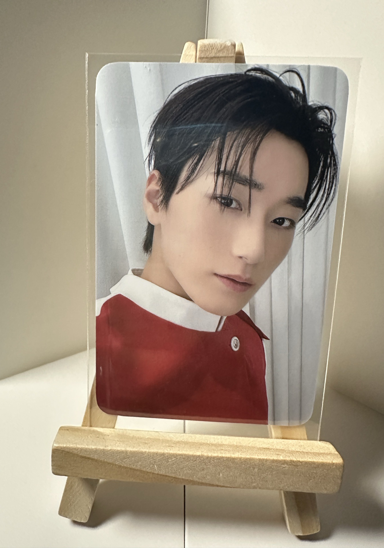 🐱ANITEEZ IN THE CALLING 周邊卡 REEL PASS CASE 傘咪