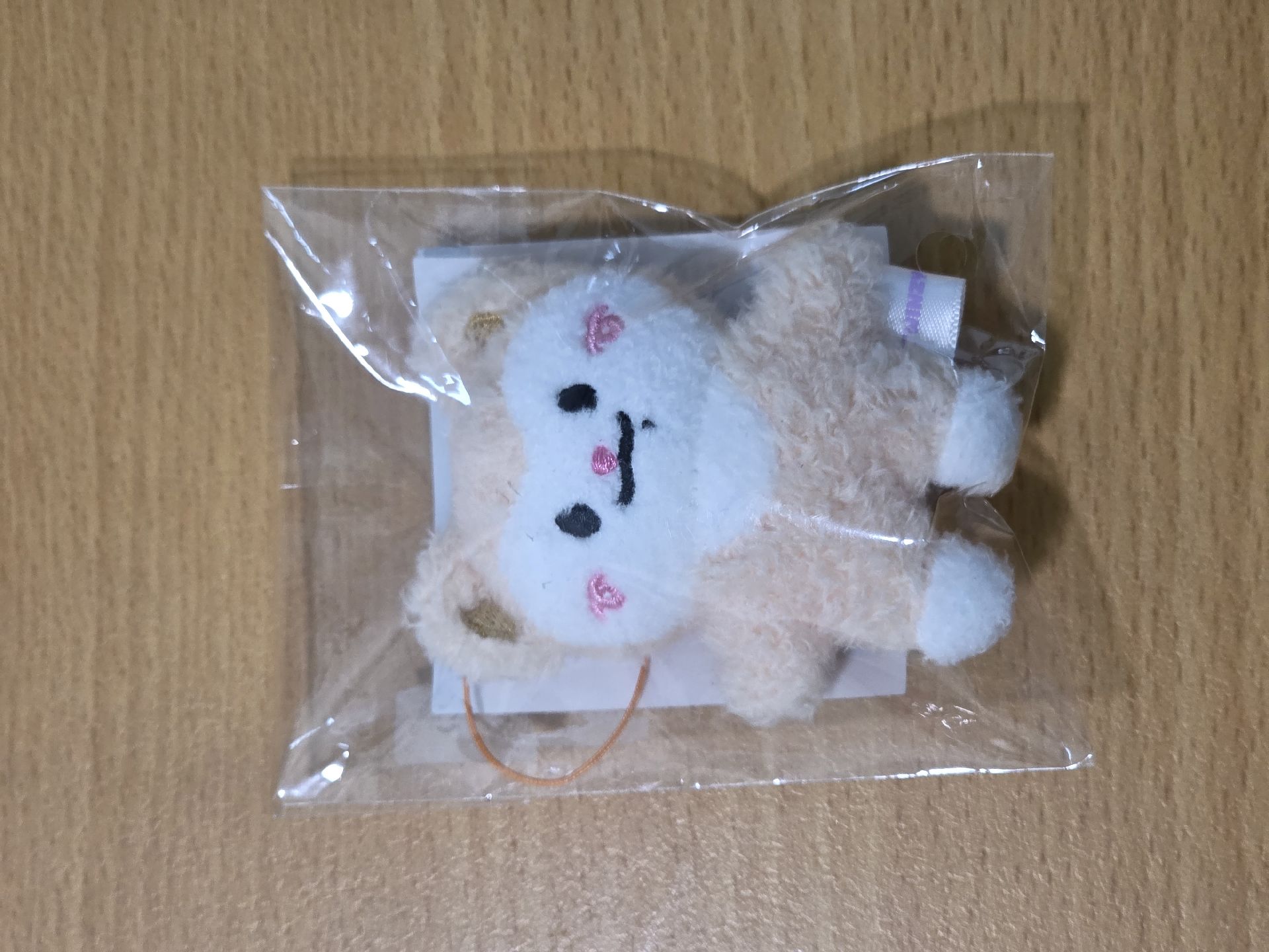 2025 FM 吊娃 TWINZY 迷你娃娃 彩領