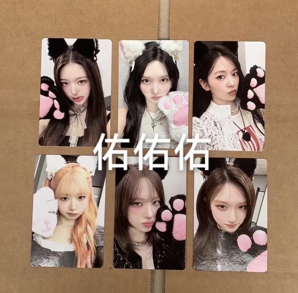 ive am3.0簽售貓爪安