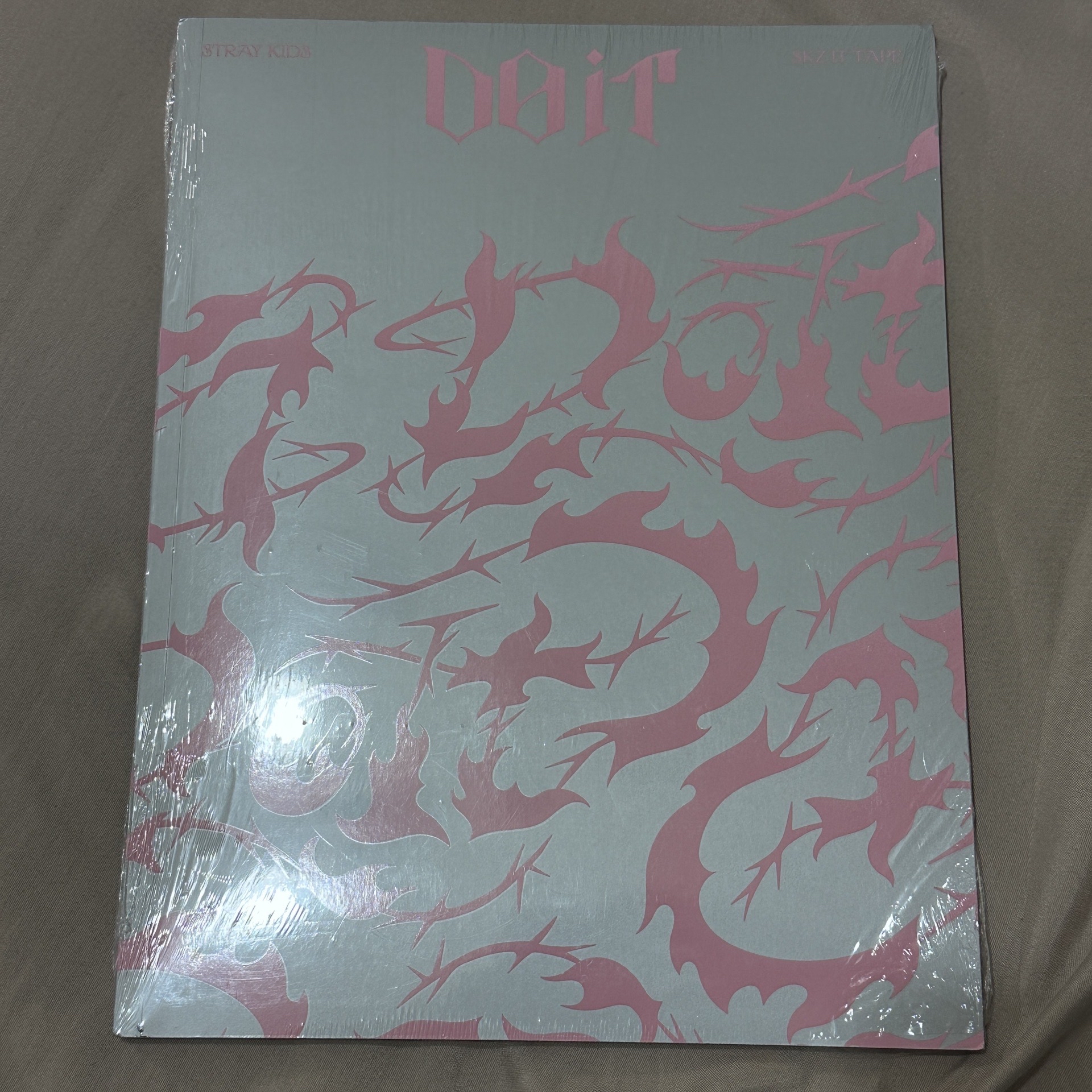 Stray Kids DOIT 未拆專