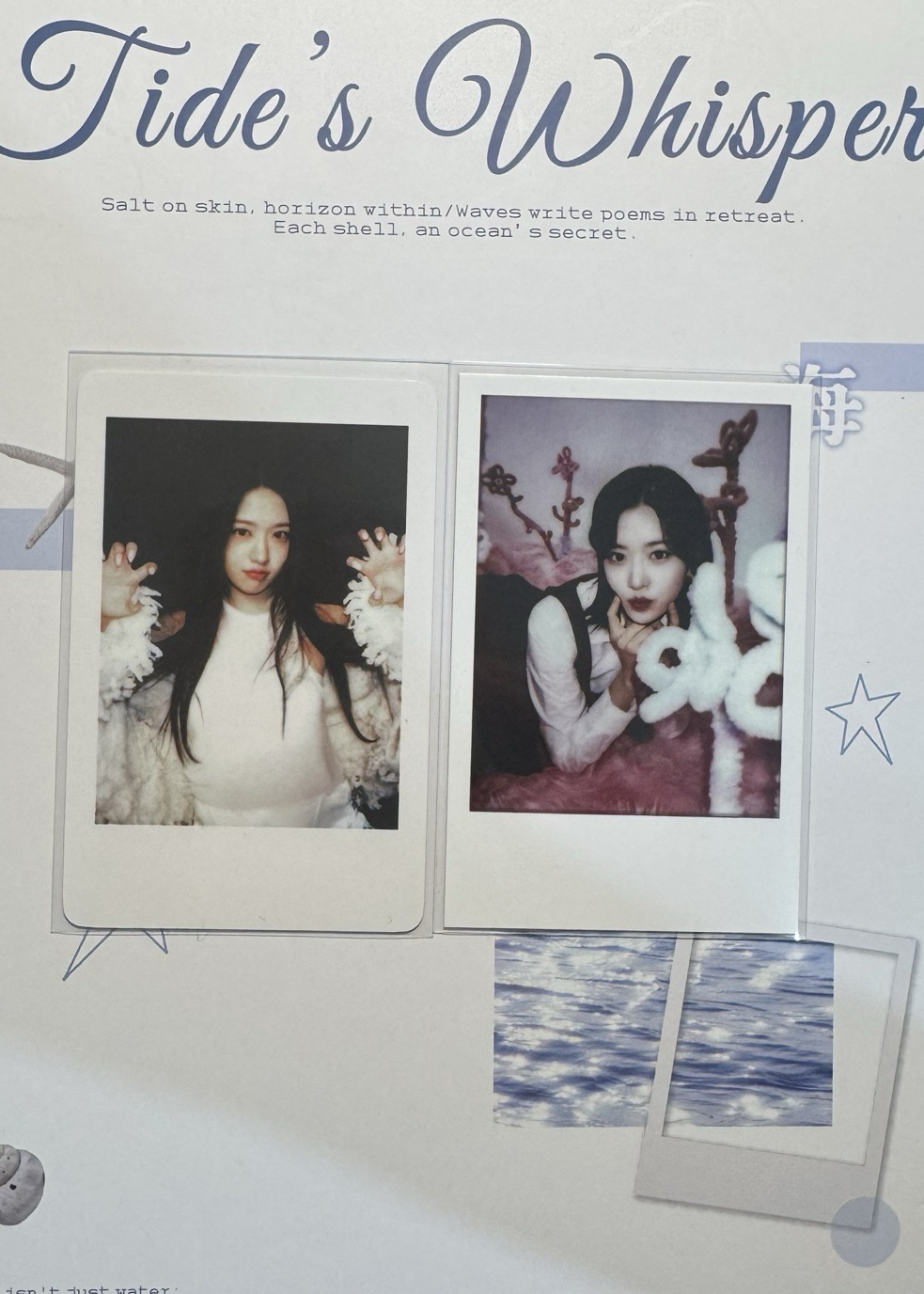 安拍立得（左）