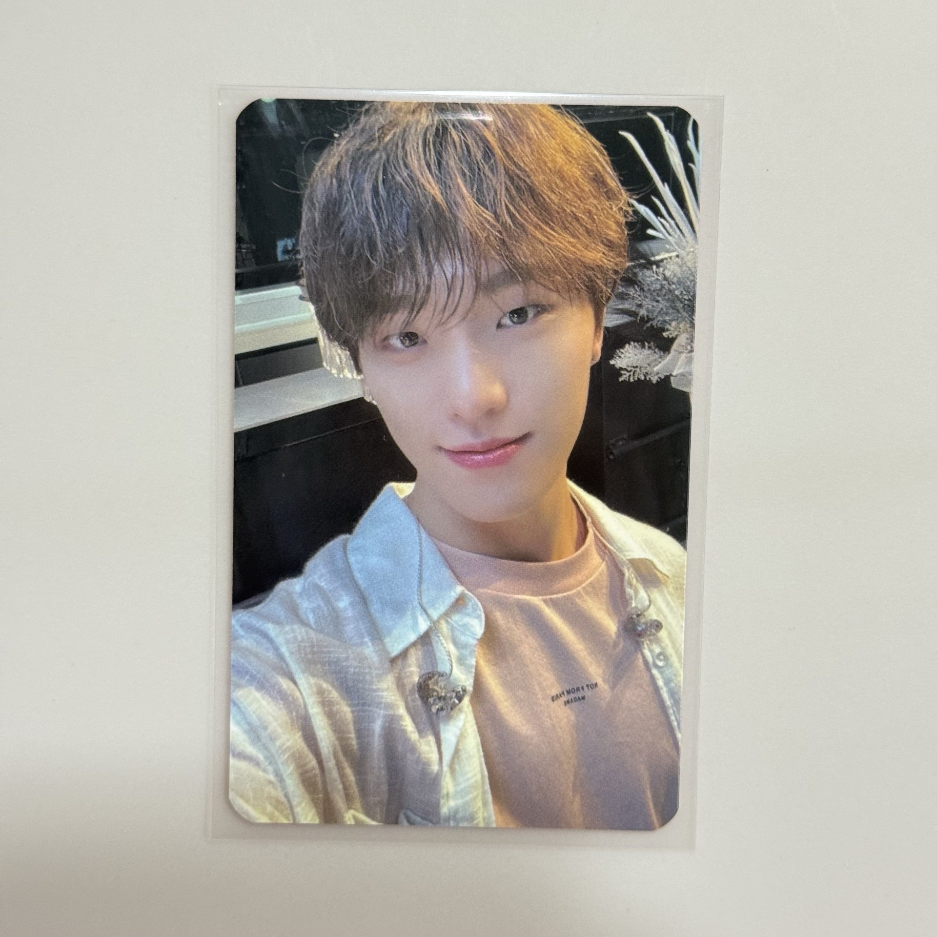 李燦 正四後續 特典卡