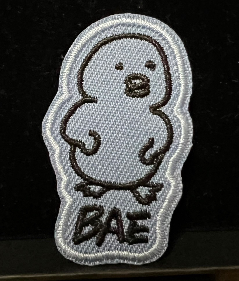 Nmixx 貝 日本場週徽章