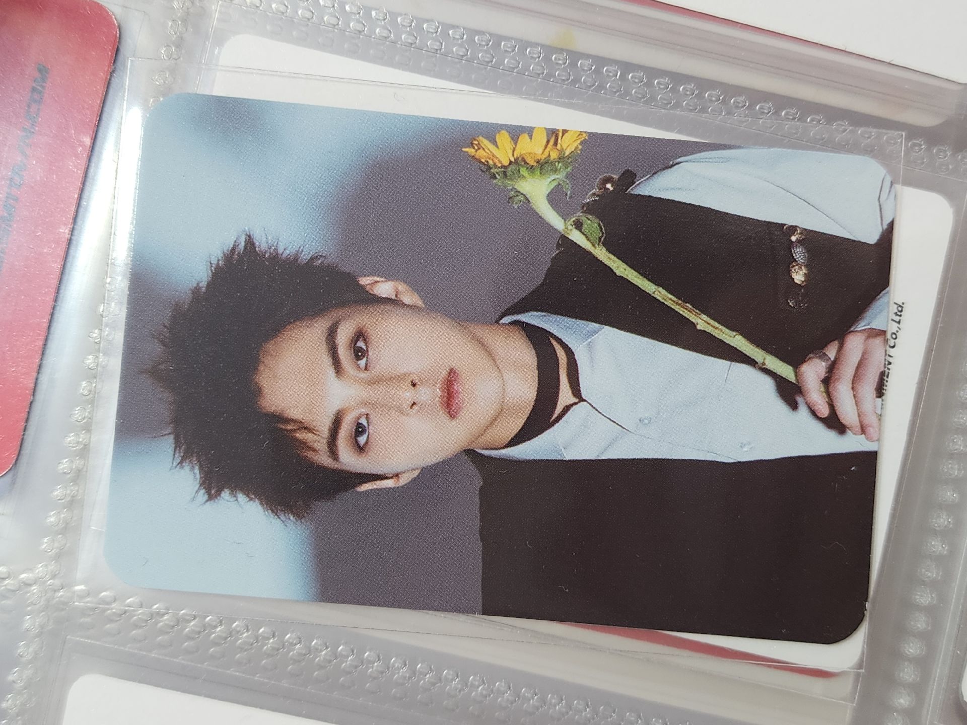 珉錫 PANTONE 護照夾 小卡