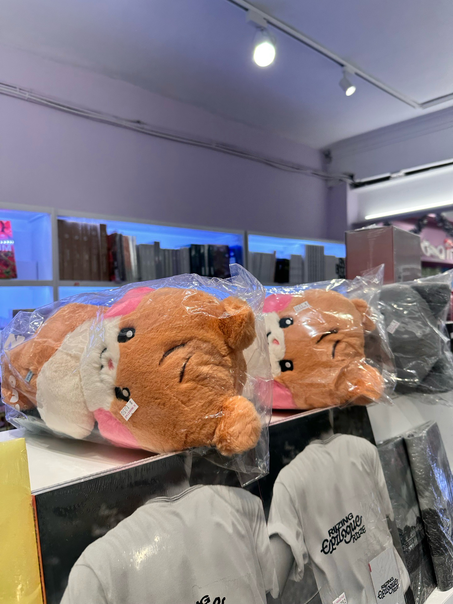 彬背包娃 預購至3/31