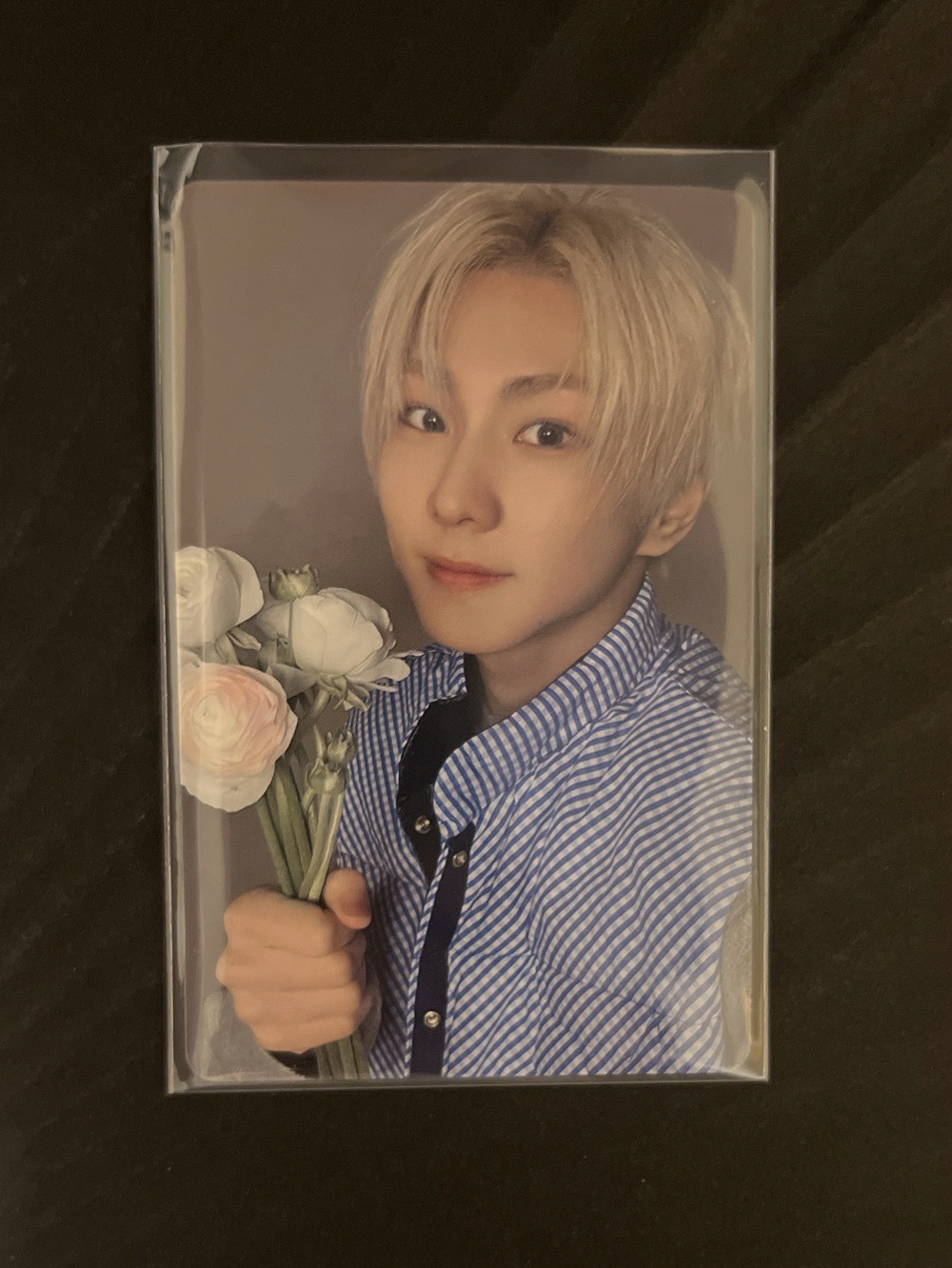 ENHYPEN 宵 YOI 禎元 日咖 單封 特典