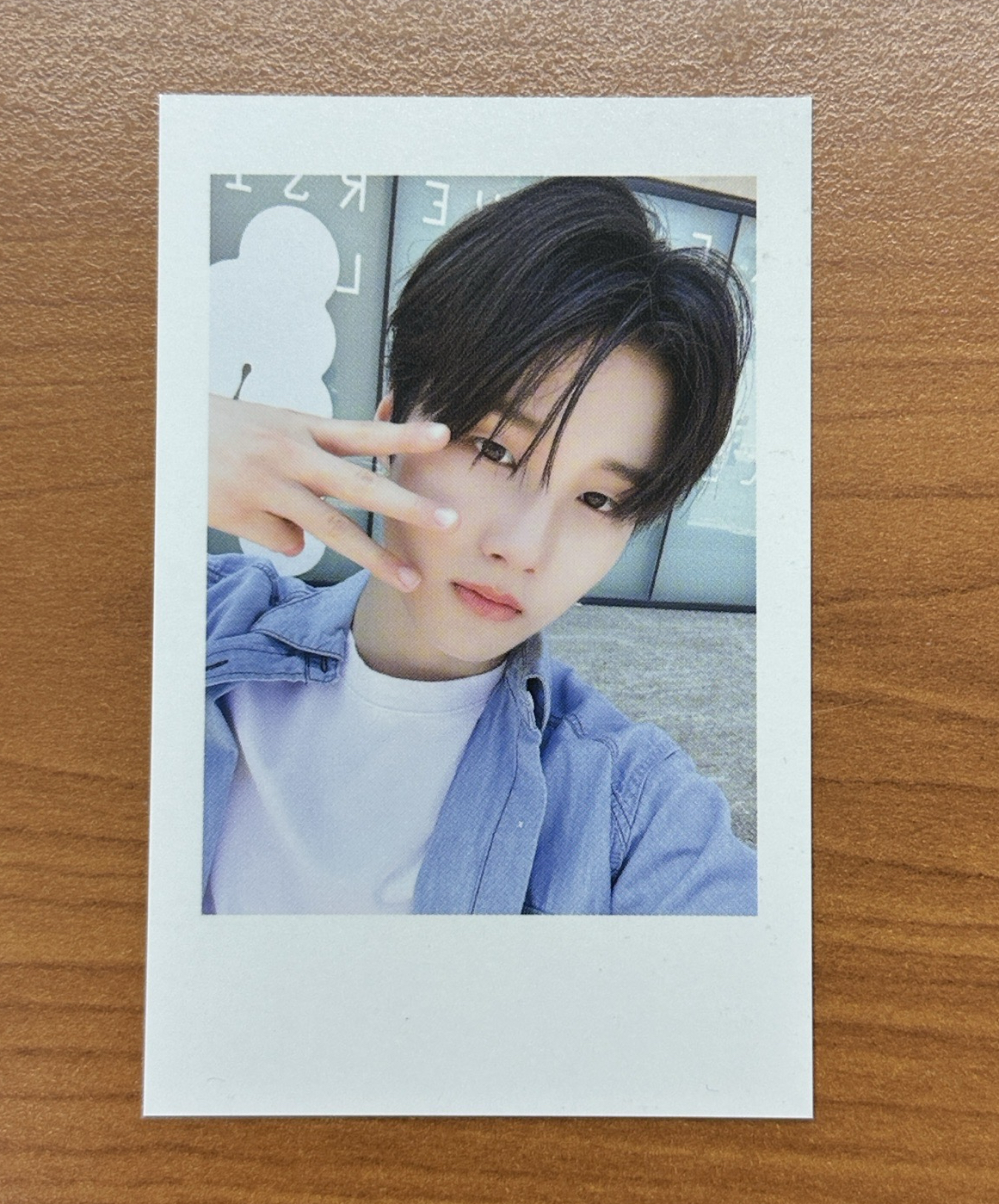 hwanhee wm簽售卡 貓鬍鬚