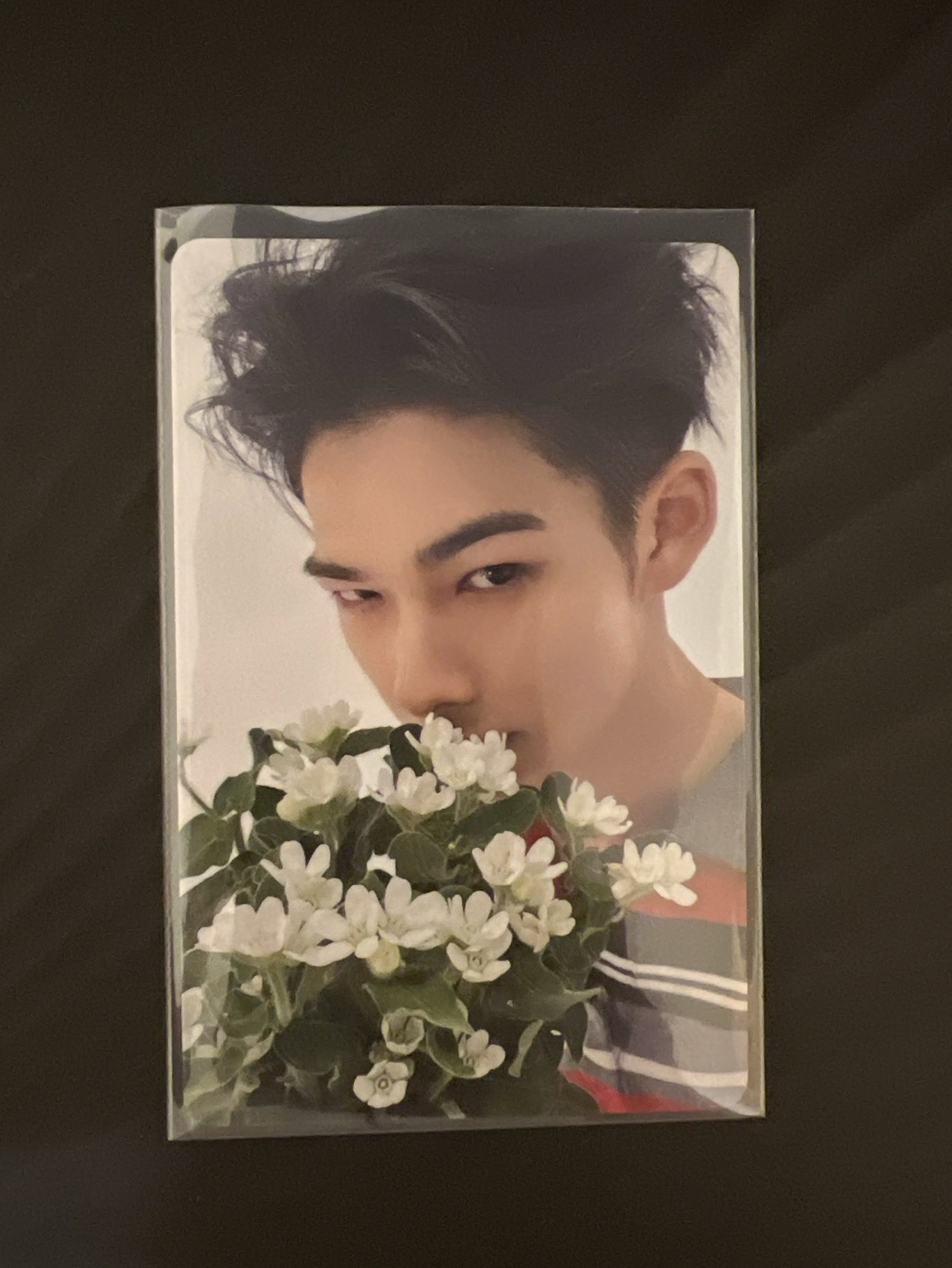 ENHYPEN 宵 YOI NIKI 日咖 單封 特典