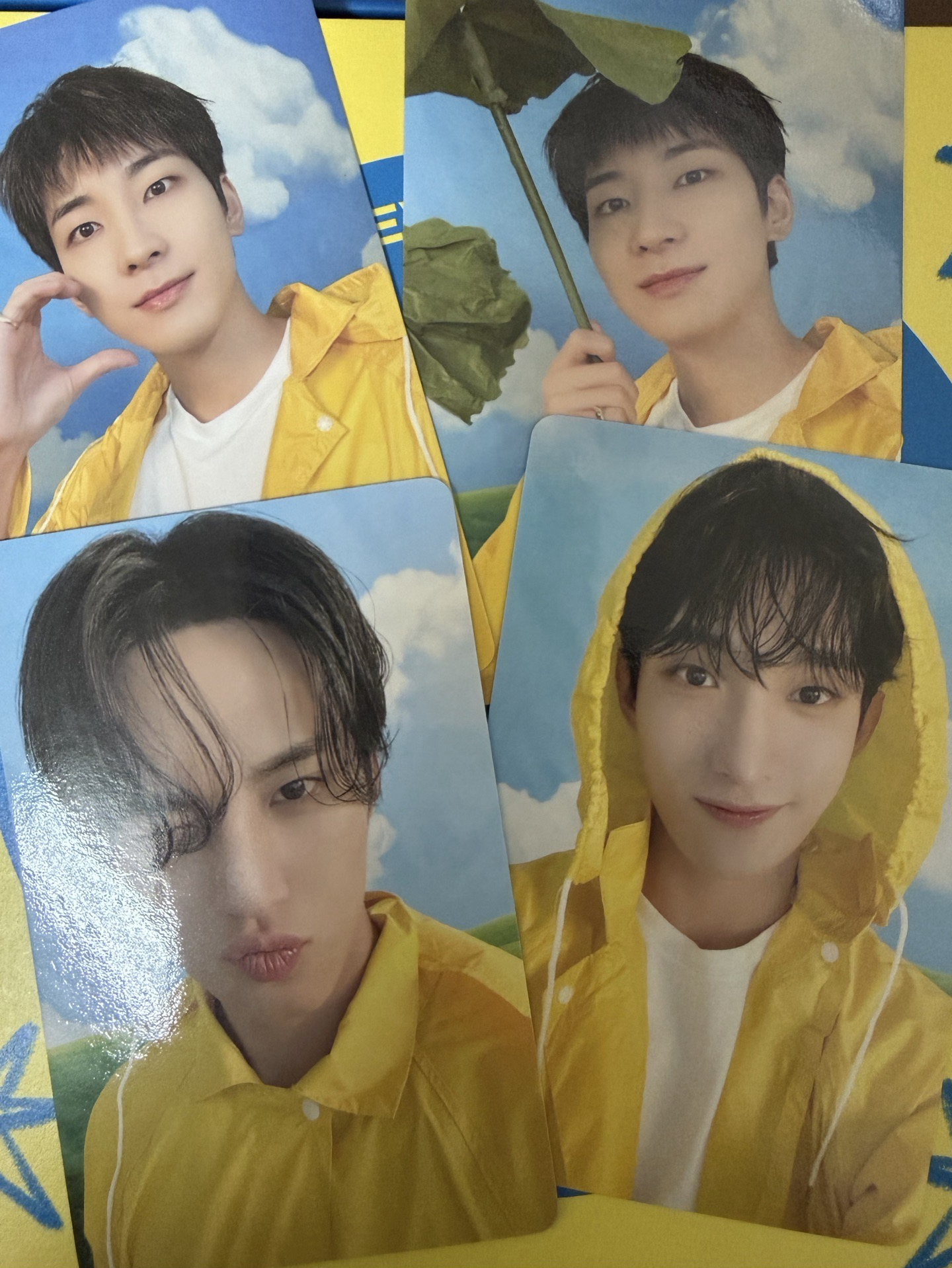 淨漢-迷你11克拉盤