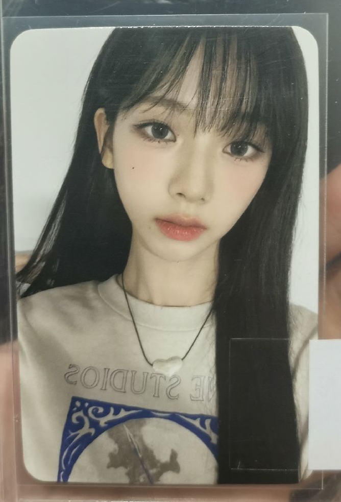 星河中文卡背柚