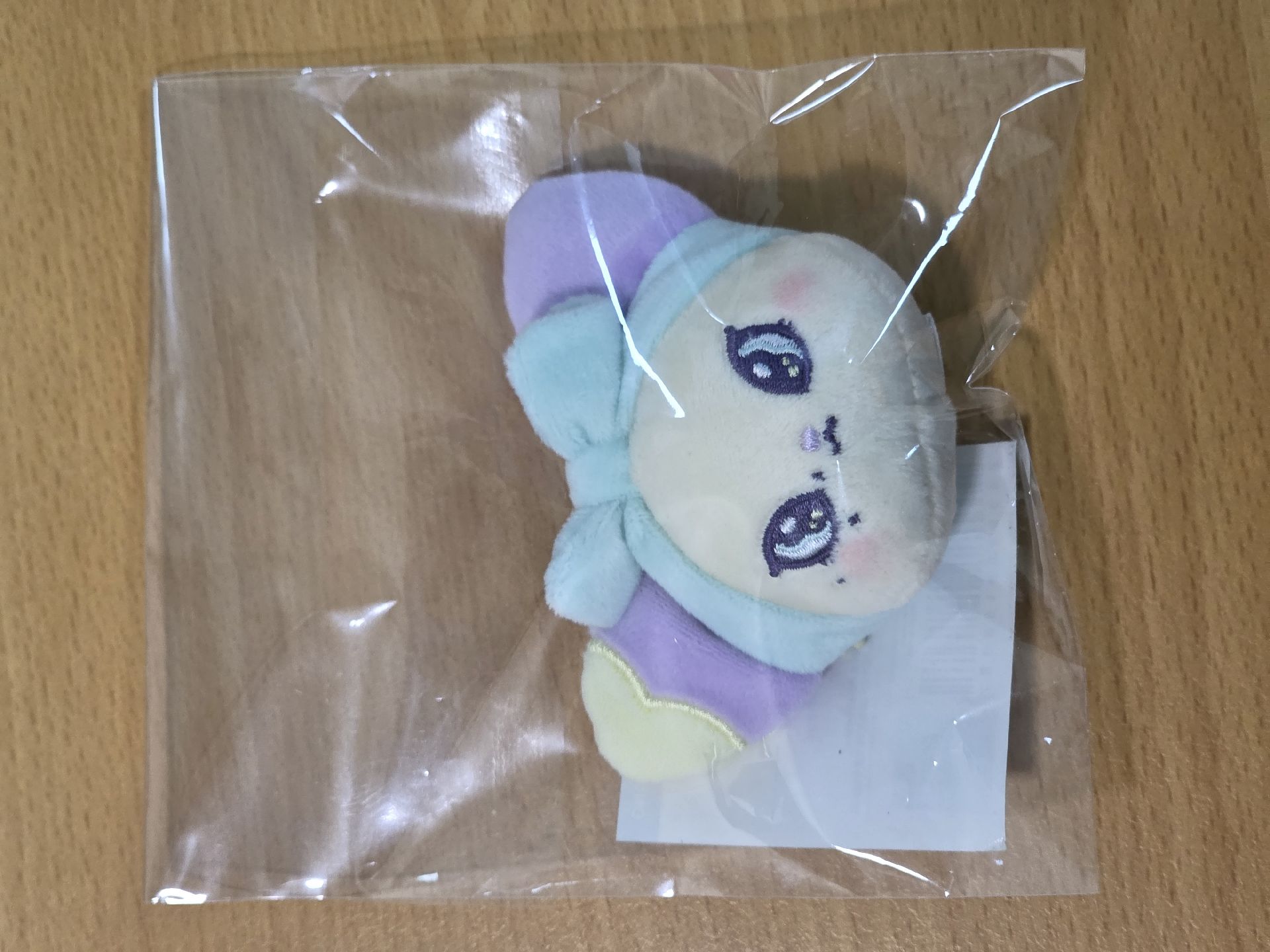 世巡快閃 吊娃 圭