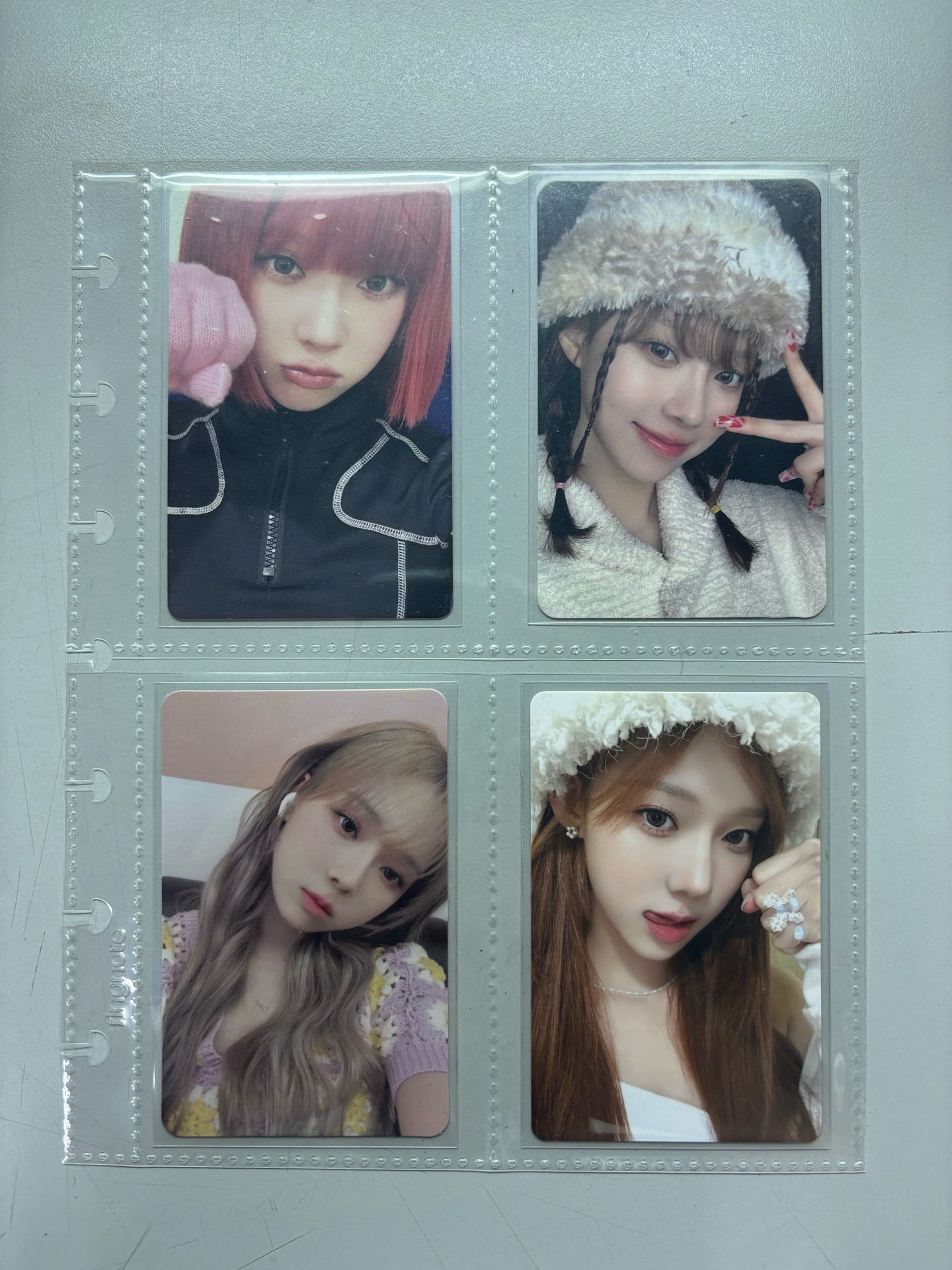 冬小盤（八張）