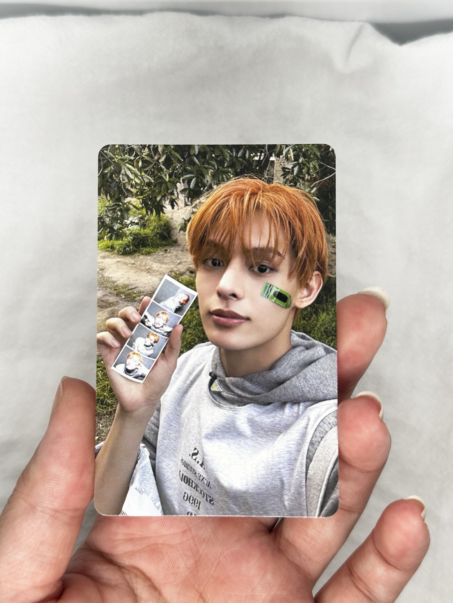 凡咪年曆sat(如圖）、一些凡咪、一些安小🐶