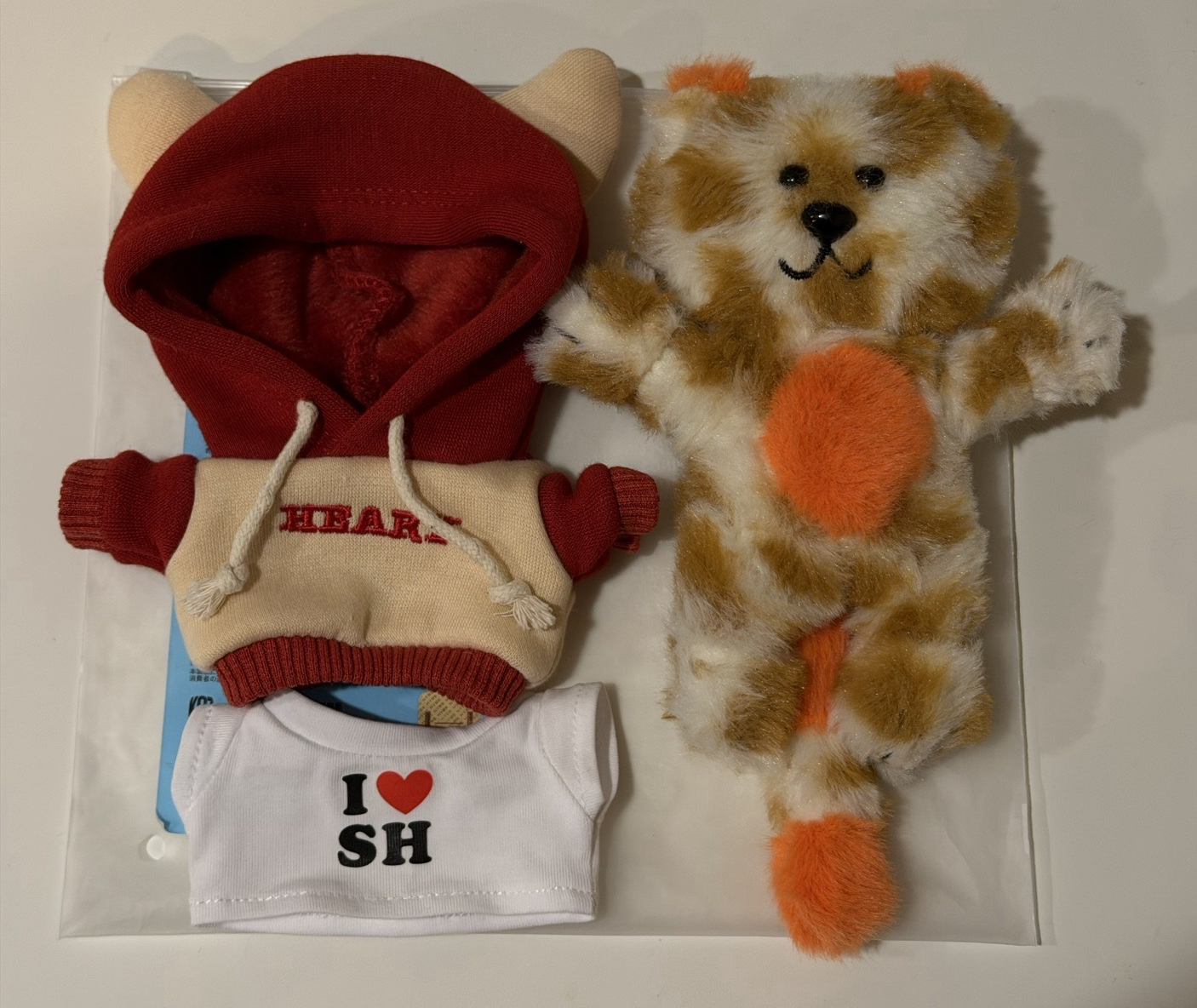 可愛貓比找新家