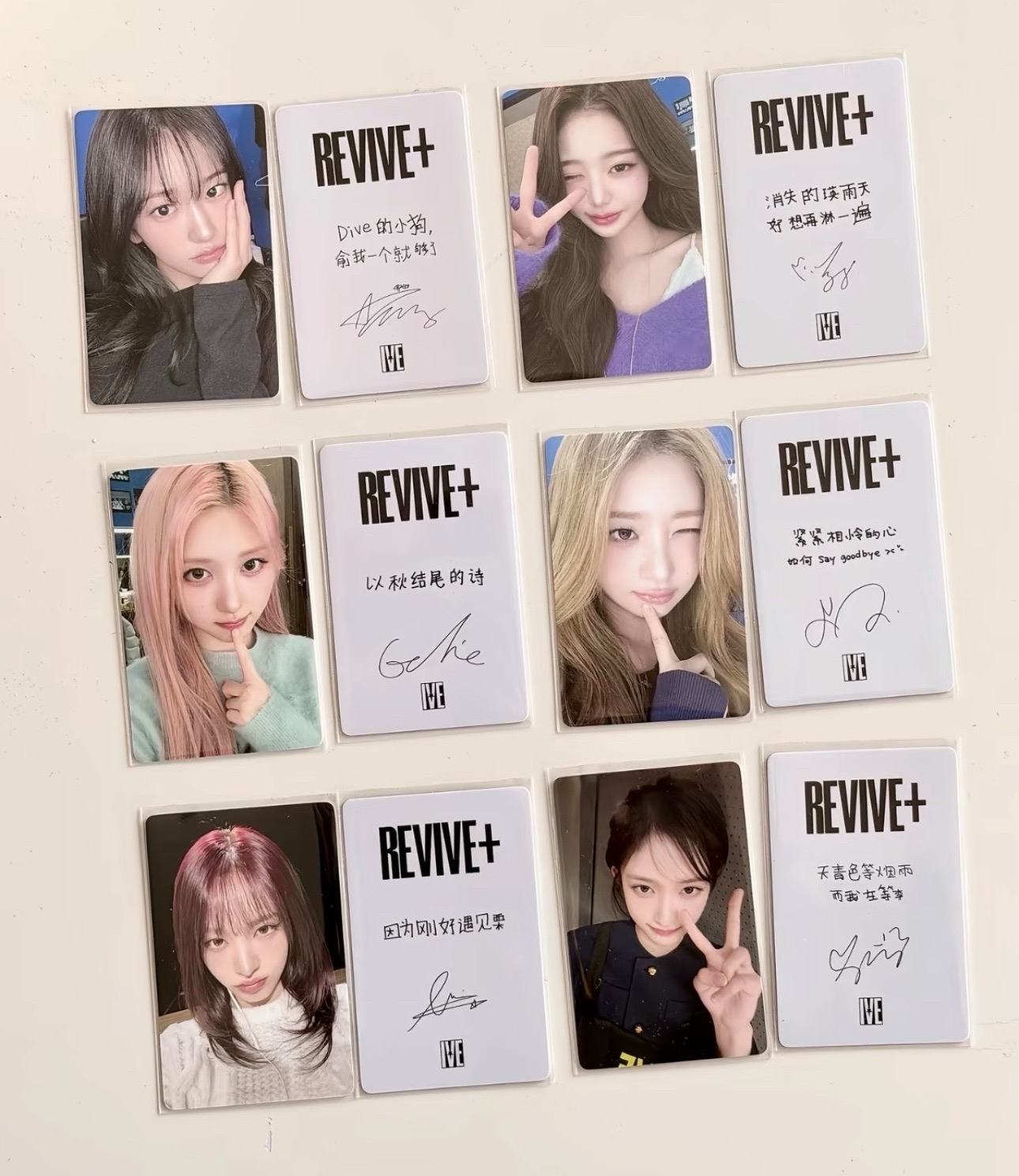 京東預售員（中背）