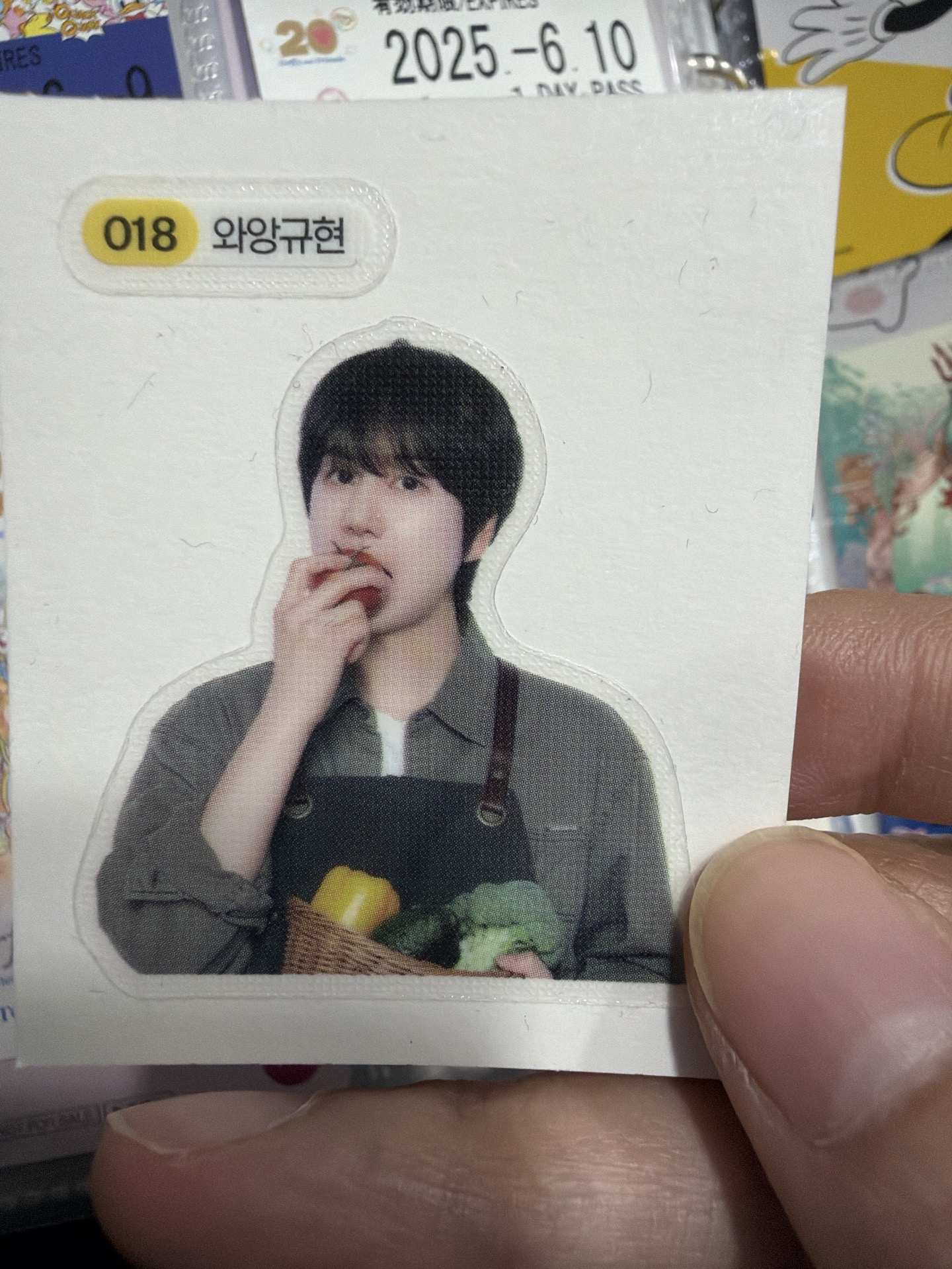 圭貼紙（綁卡）