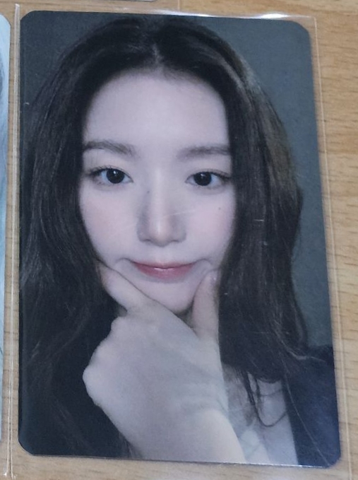 台灣第一輪/舒華