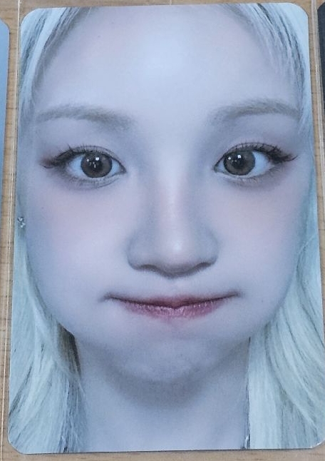 台灣第一輪/雨琦