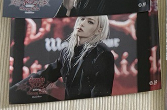 紅底菲（需綁）