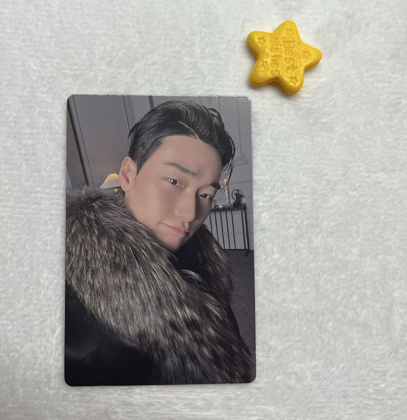 北部大公毛茸茸