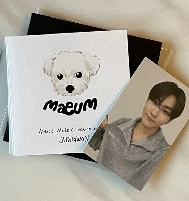 yzy視簽5.0中背 禎元