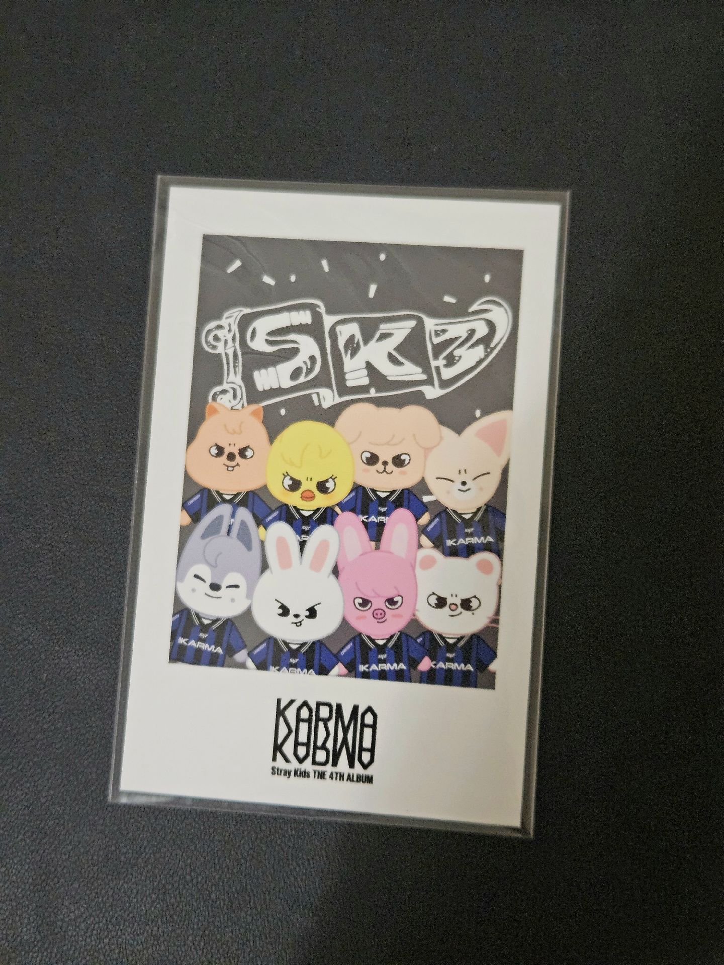 KARMA小動物拍立得