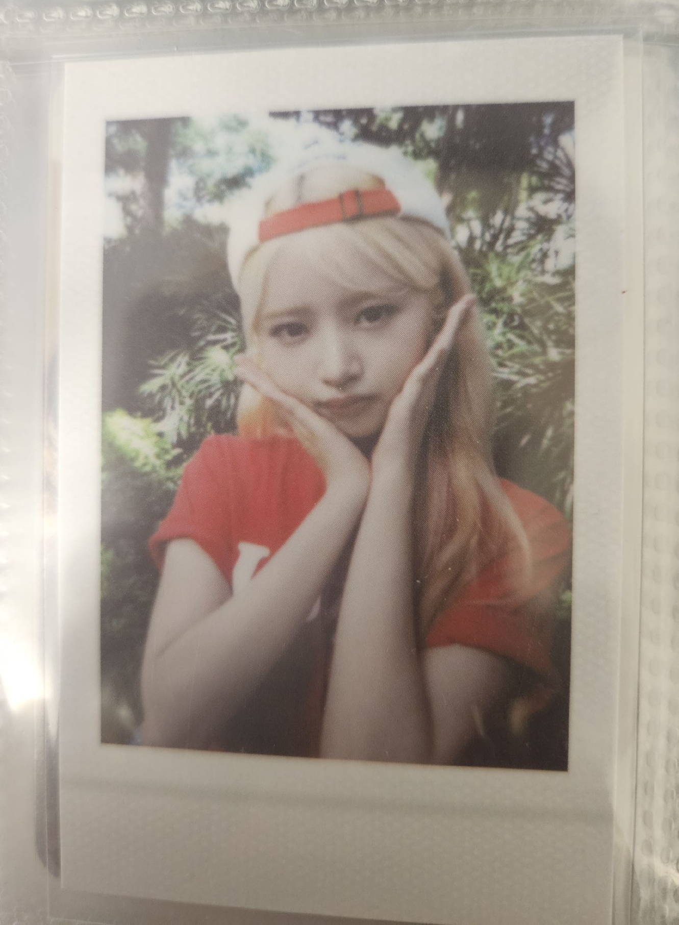 夏日寫真小卡拍立得