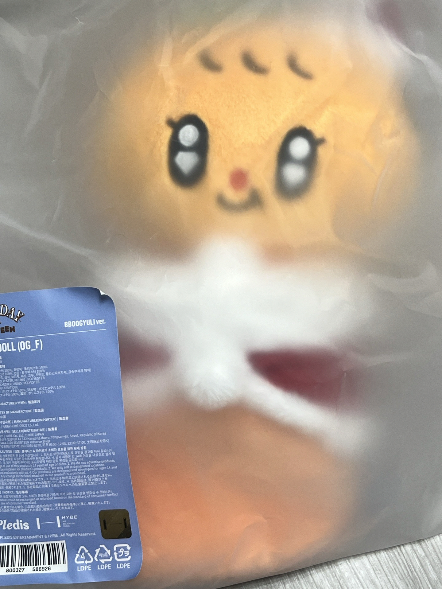 現貨 聖誕大娃（寛碩勳） 需綁卡