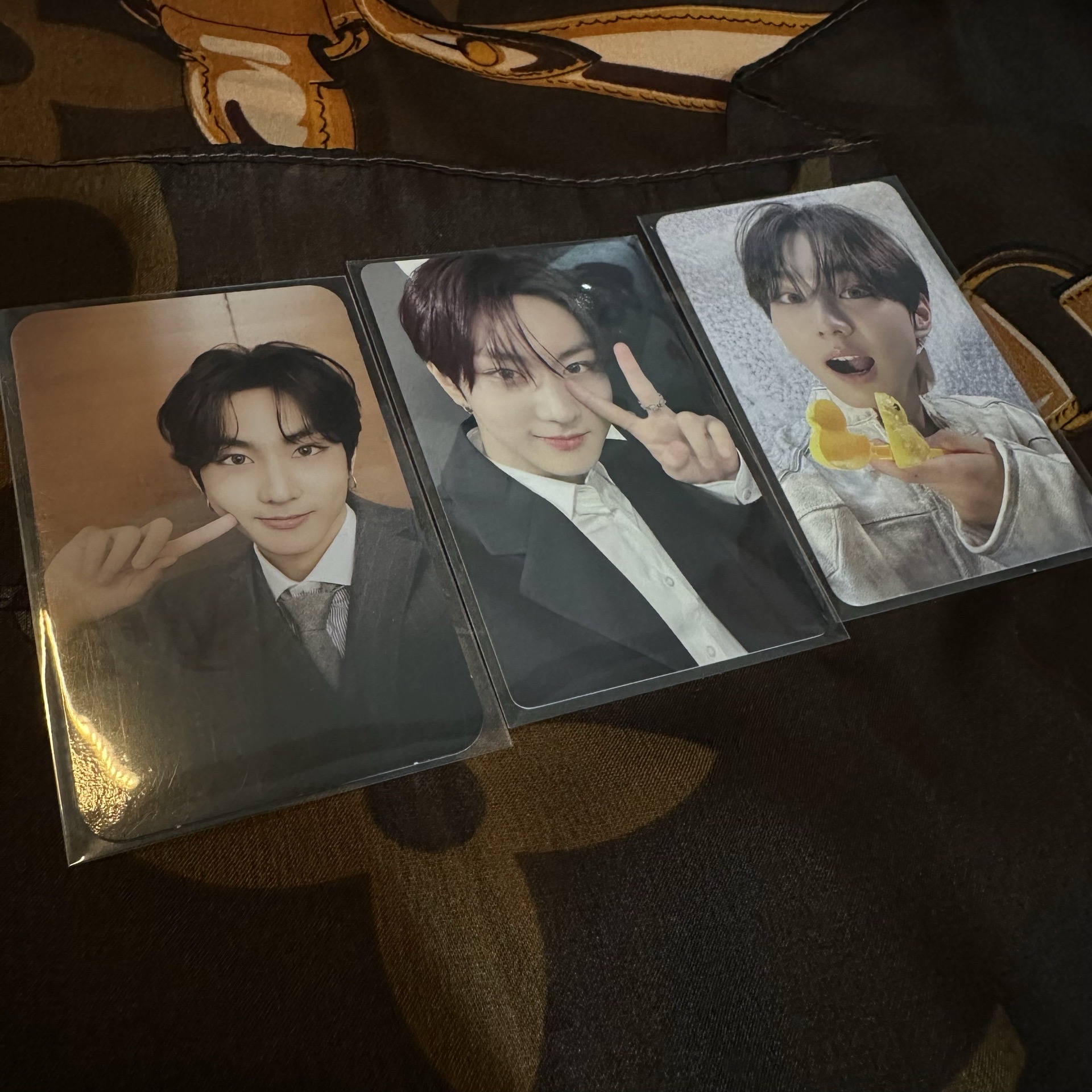 三隻咪 人 請帶走😼🫶🏻