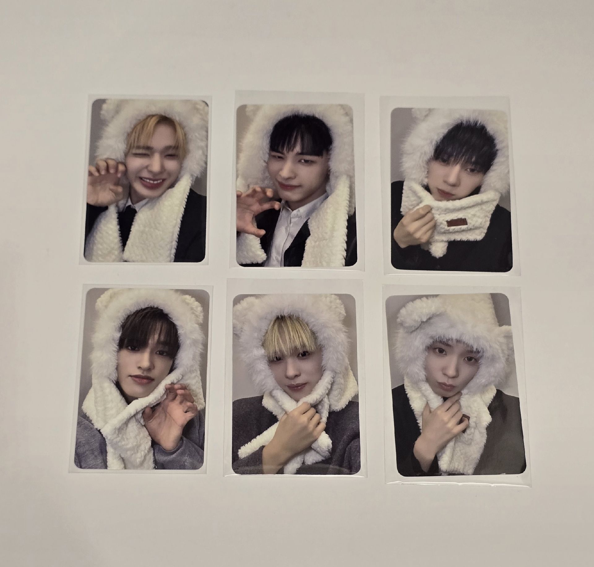 白色小熊簽售卡