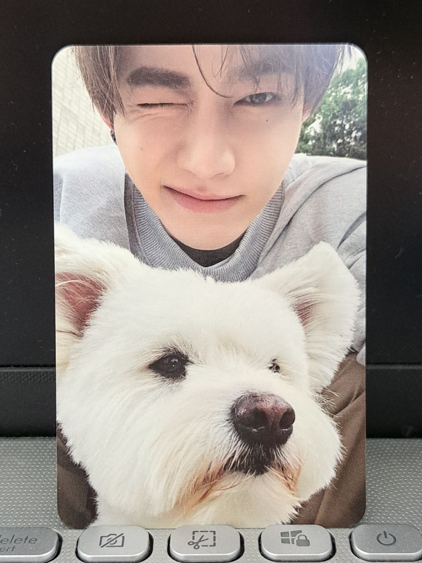 正規一 團封狗狗昊