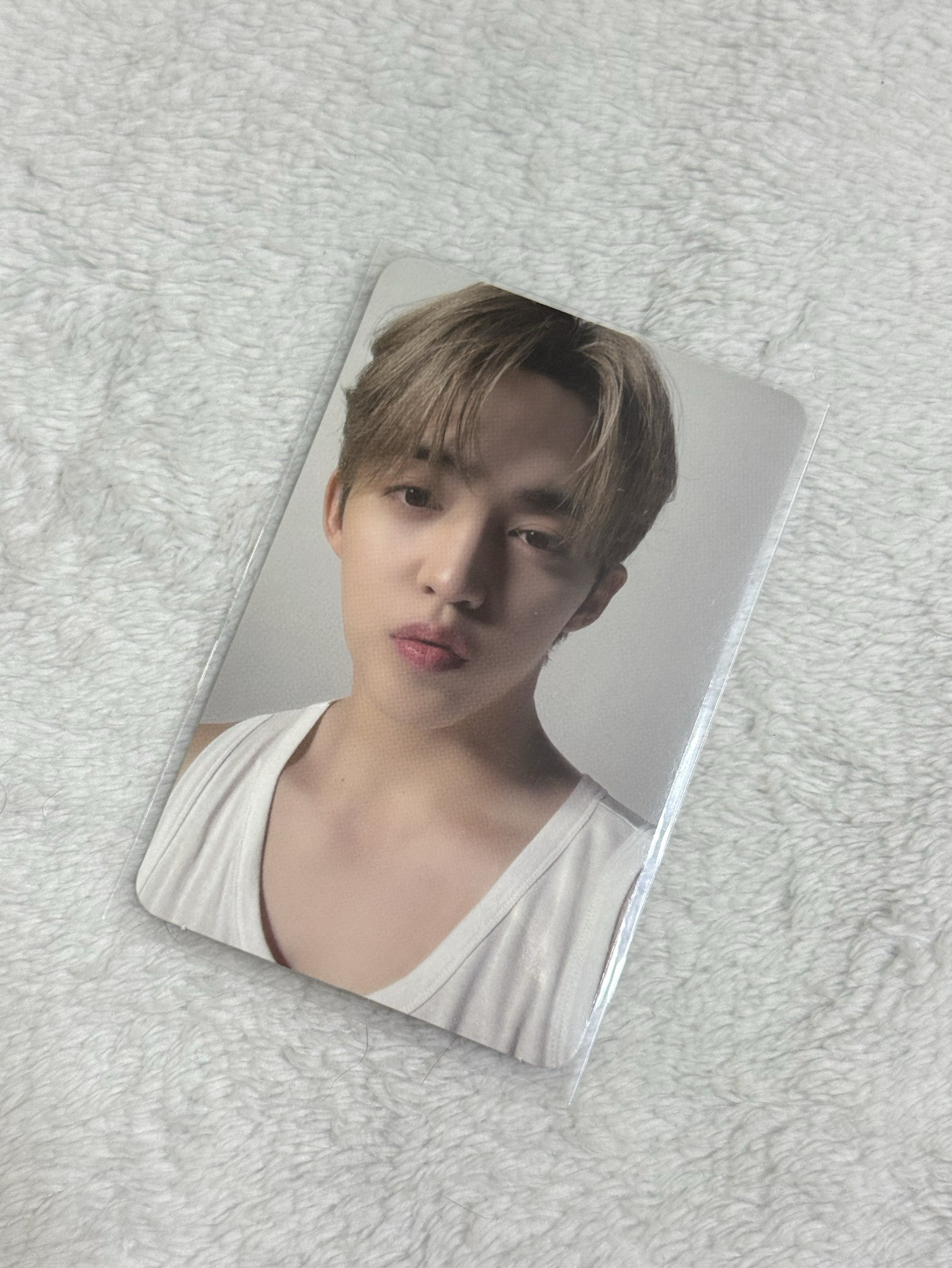 🔆精選專 專卡 親愛盤 喆