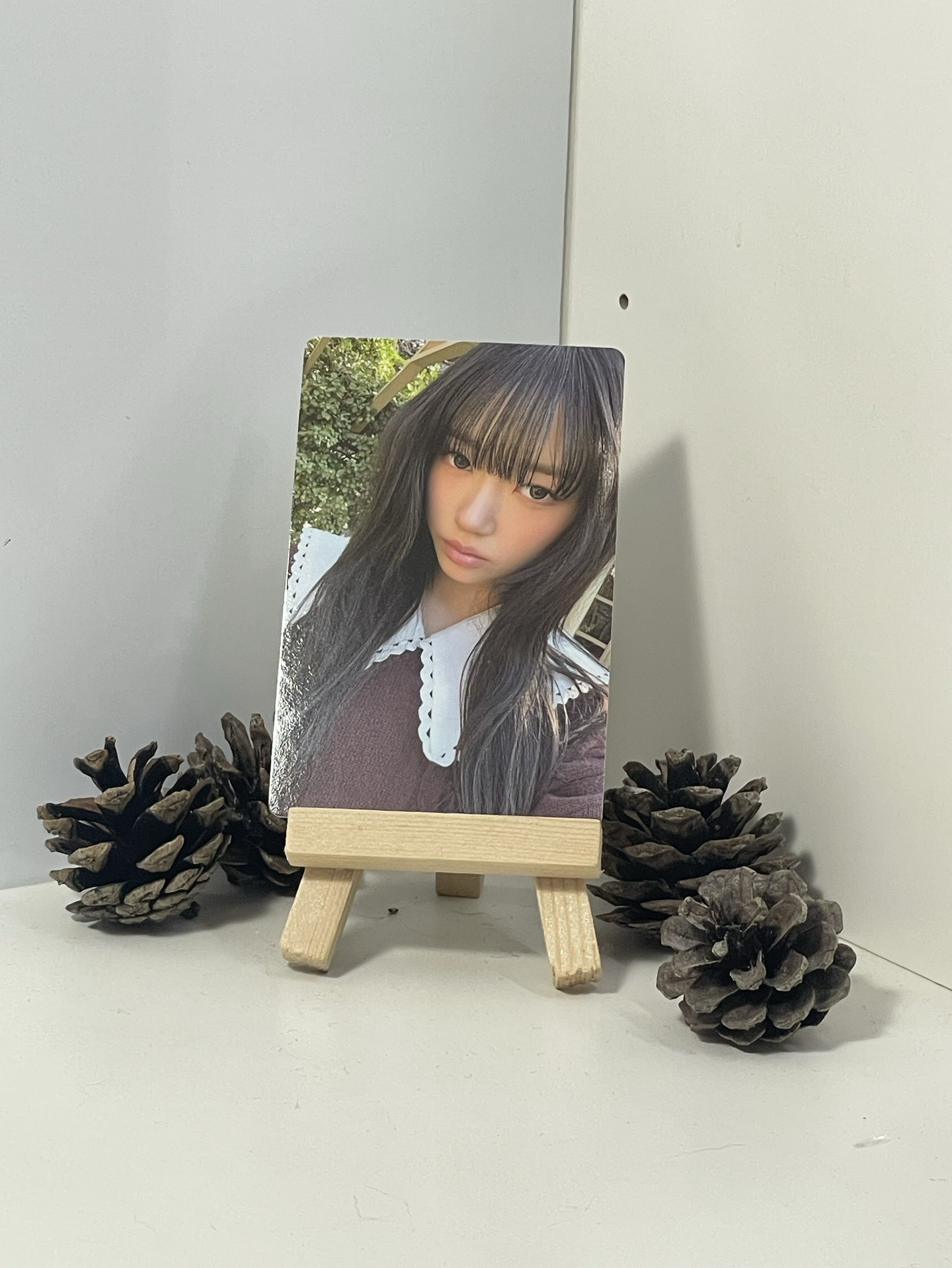 ［可直拍］Sooin年曆卡