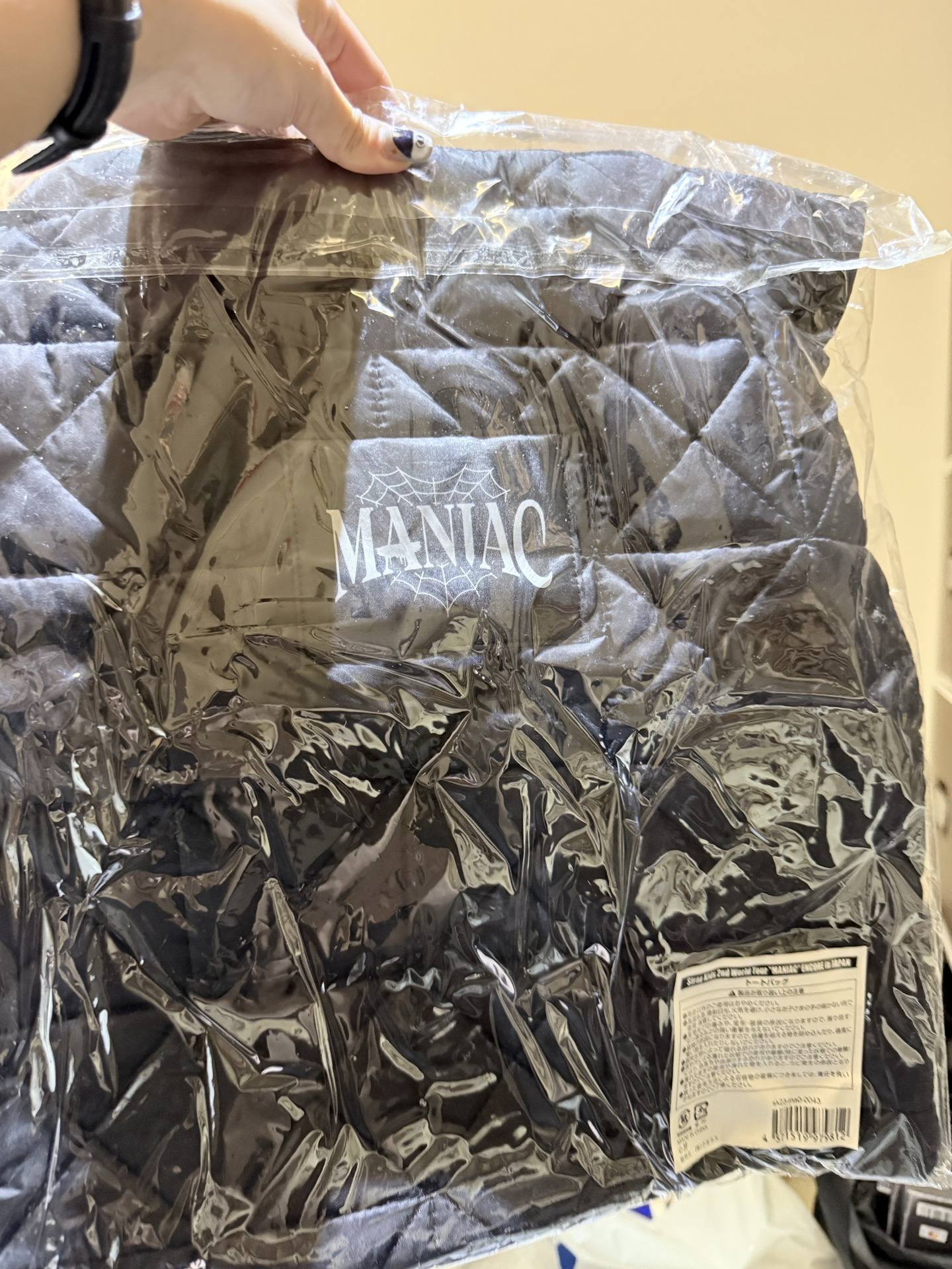 Stray Kids 2世巡 安可場 手提包