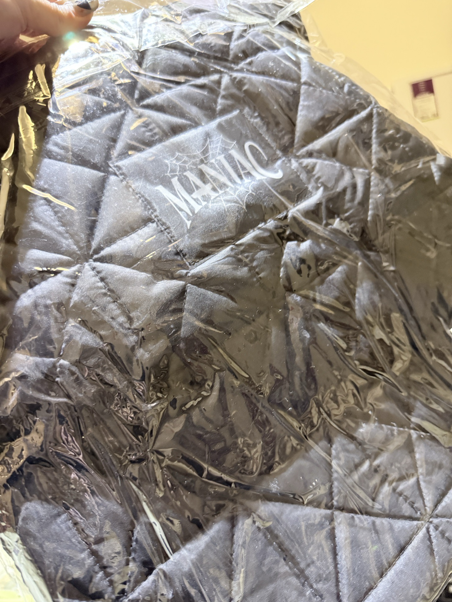 Stray Kids 2世巡 安可場 手提包