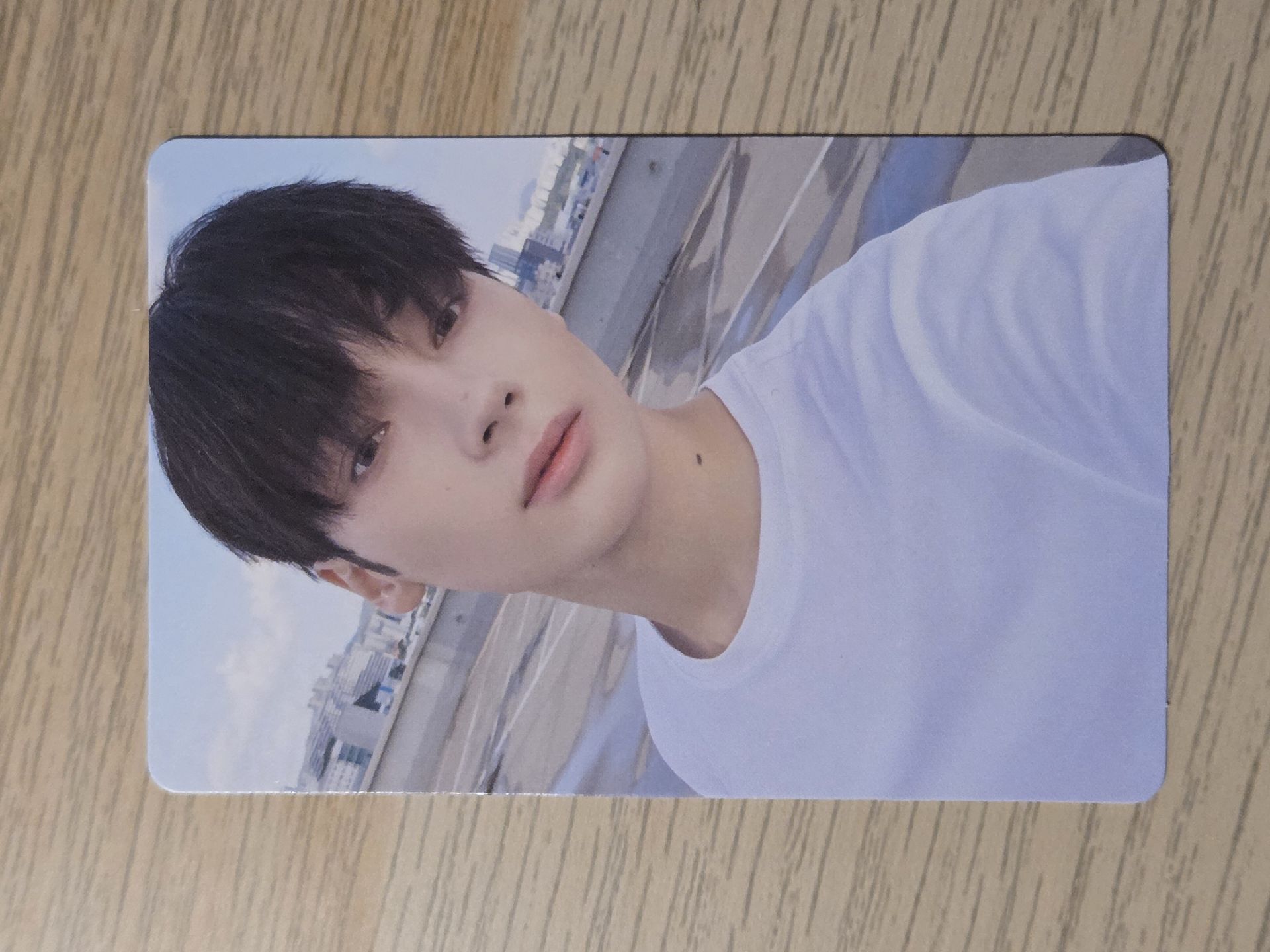 wvs電子專ver.a寧