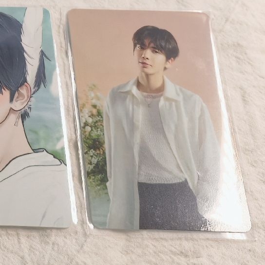 Starkissed 隨機卡 