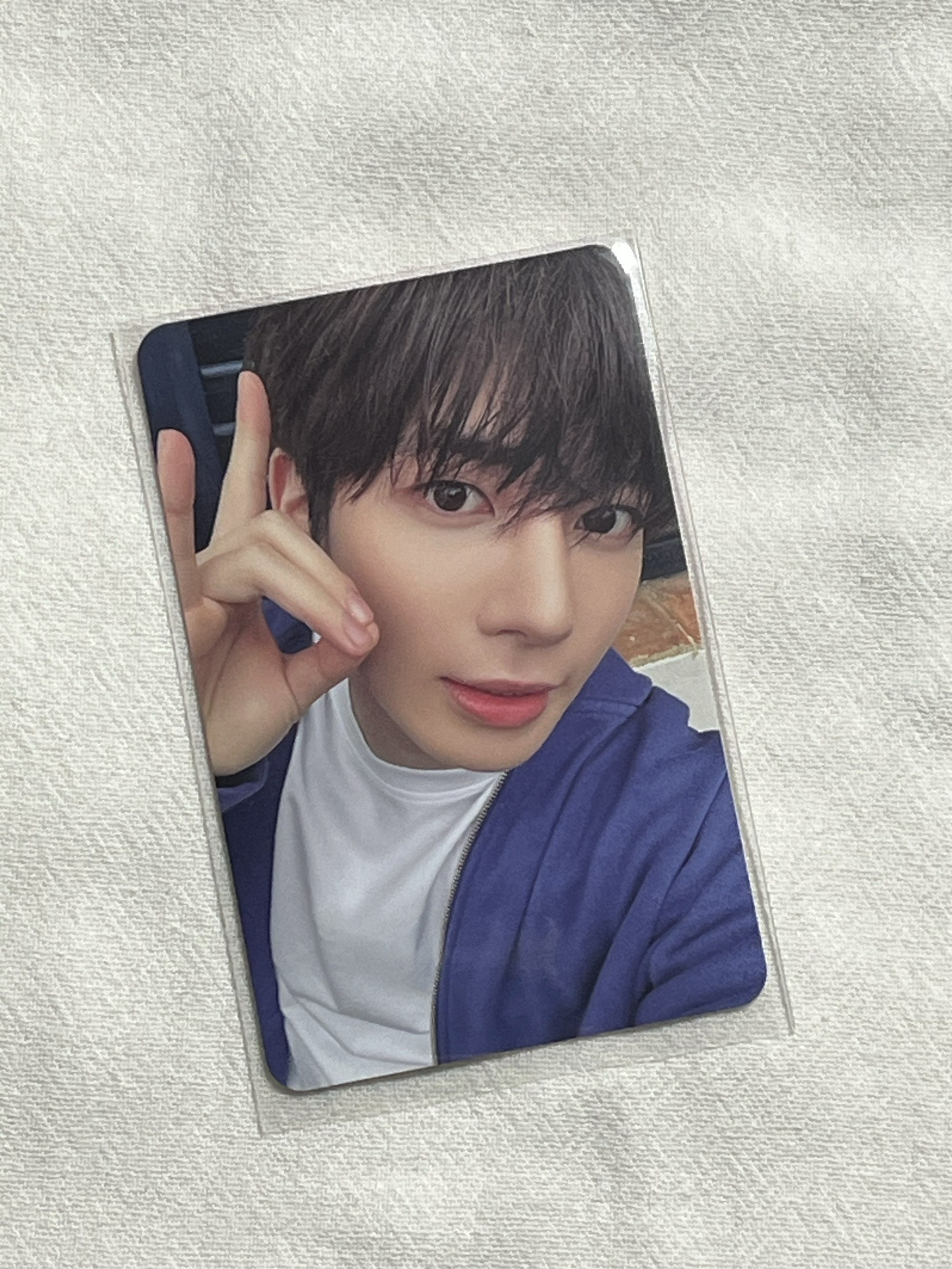 超可愛的大眼顯咪👀